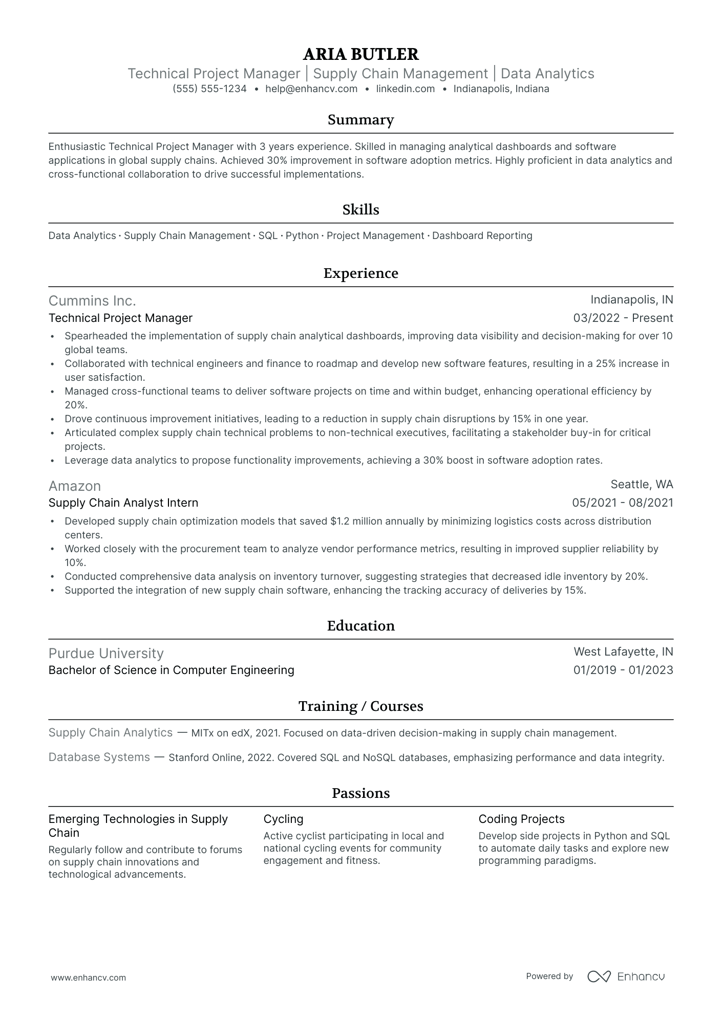 IT Program Manager resume example