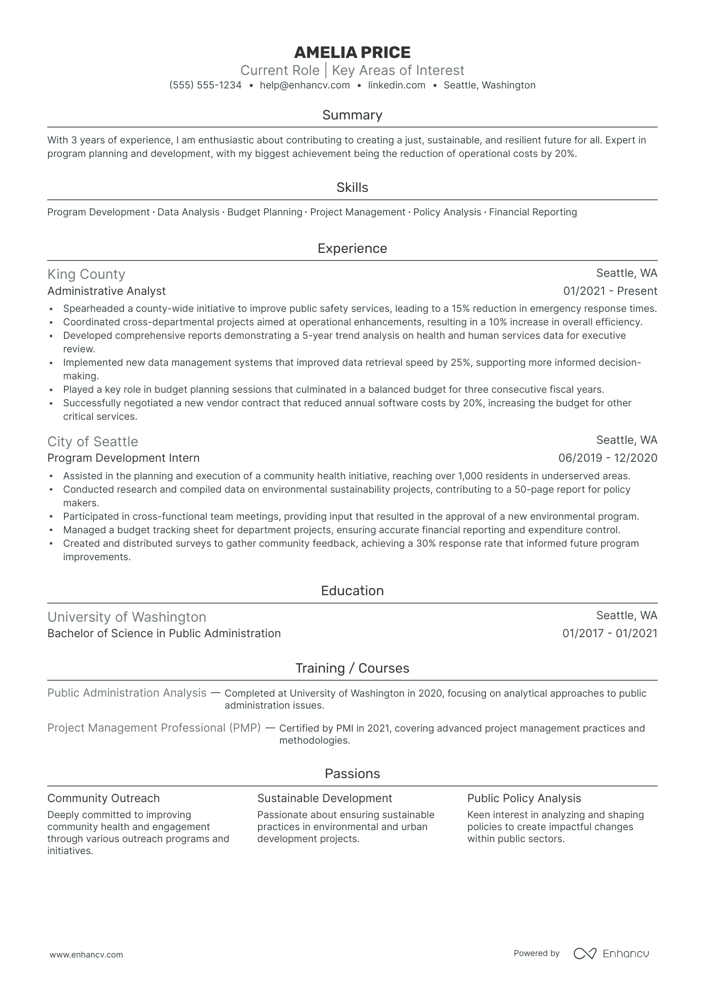 Deputy Chief Administrative Officer Resume Example Resume Example