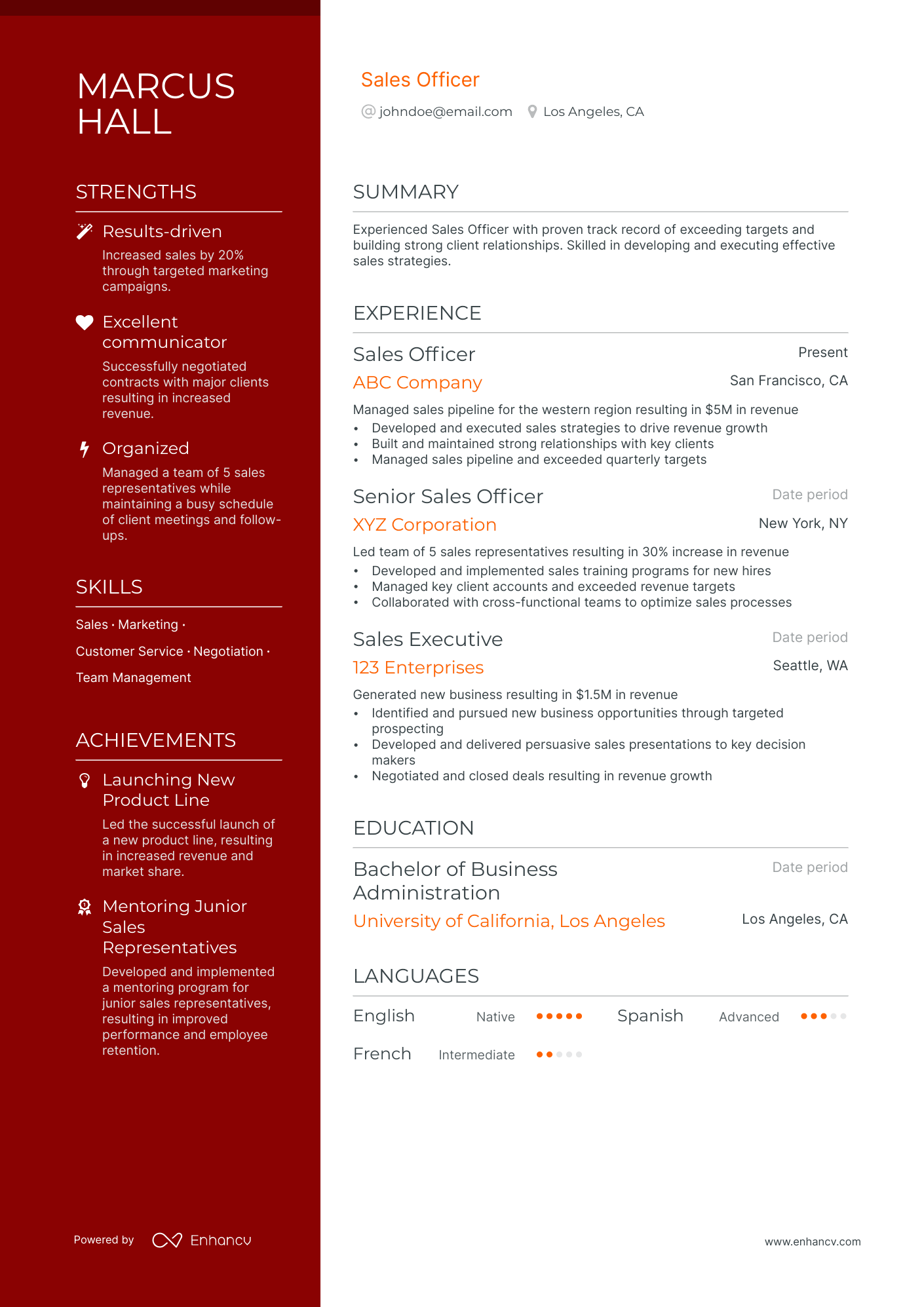 sales officer resume example