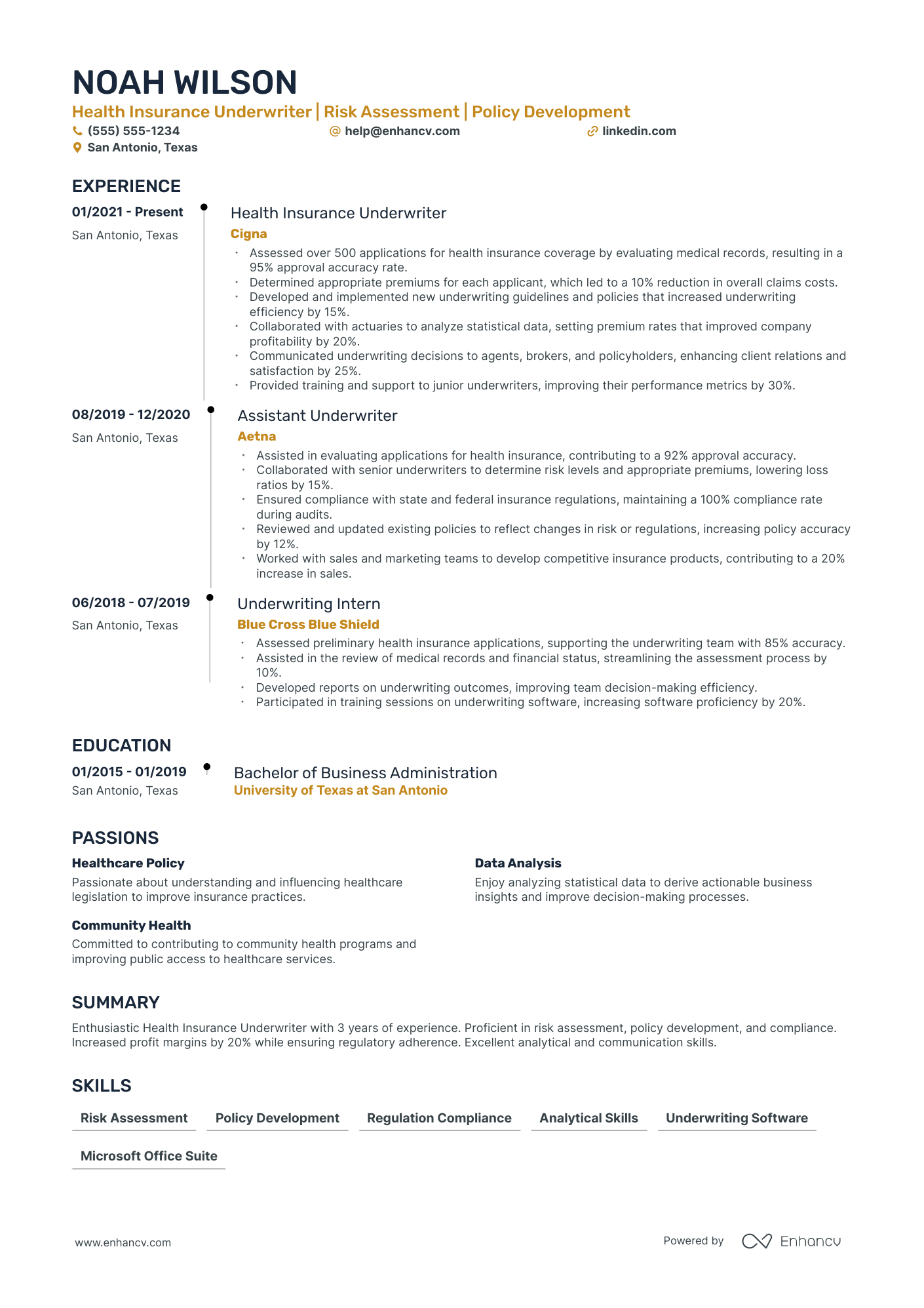 Health Insurance Underwriter resume example