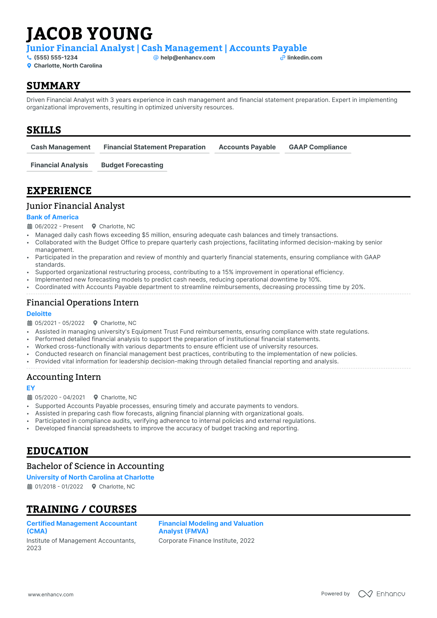 Operations Finance Director Resume Example Resume Example