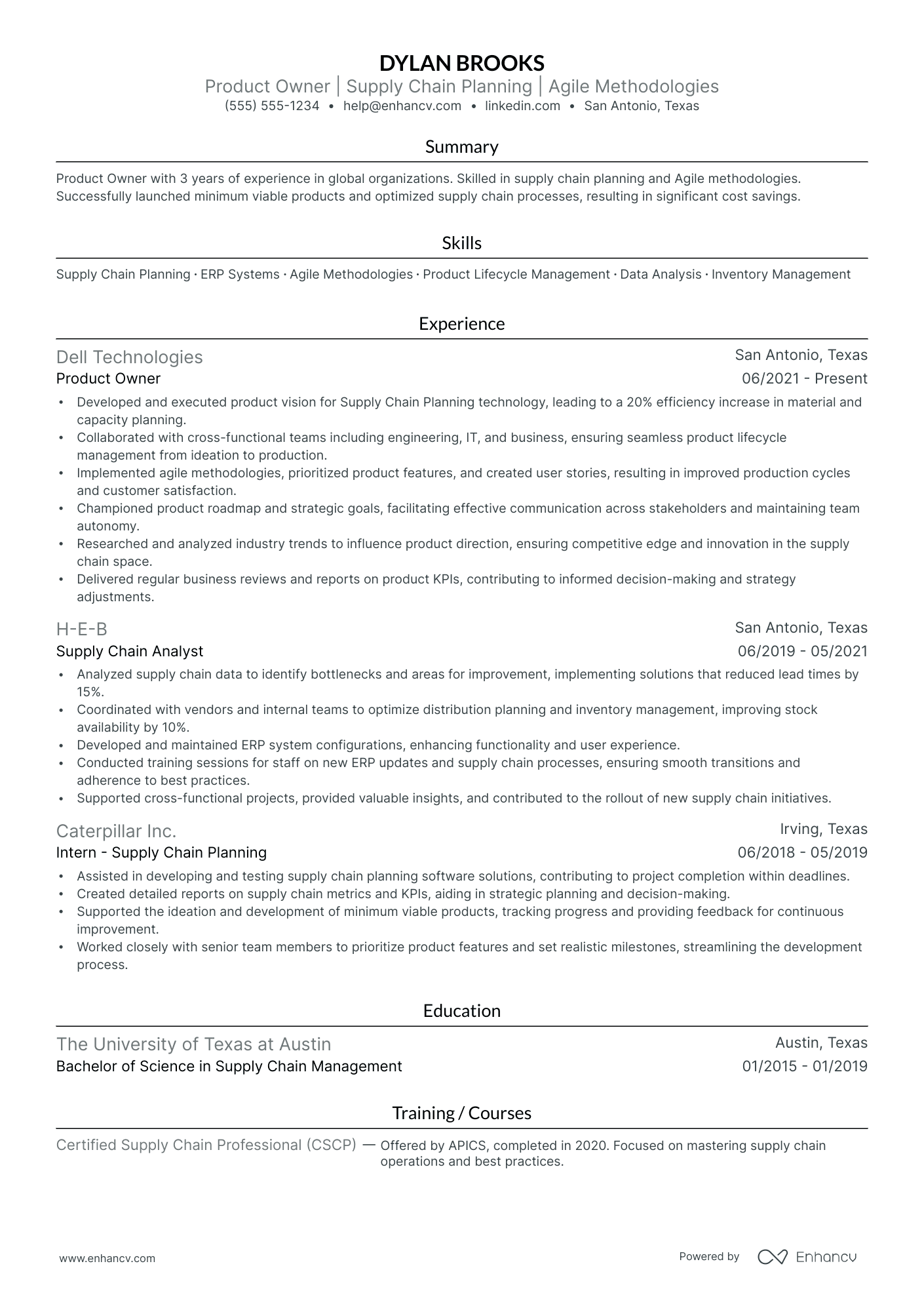 IT Product Owner Resume Example Resume Example