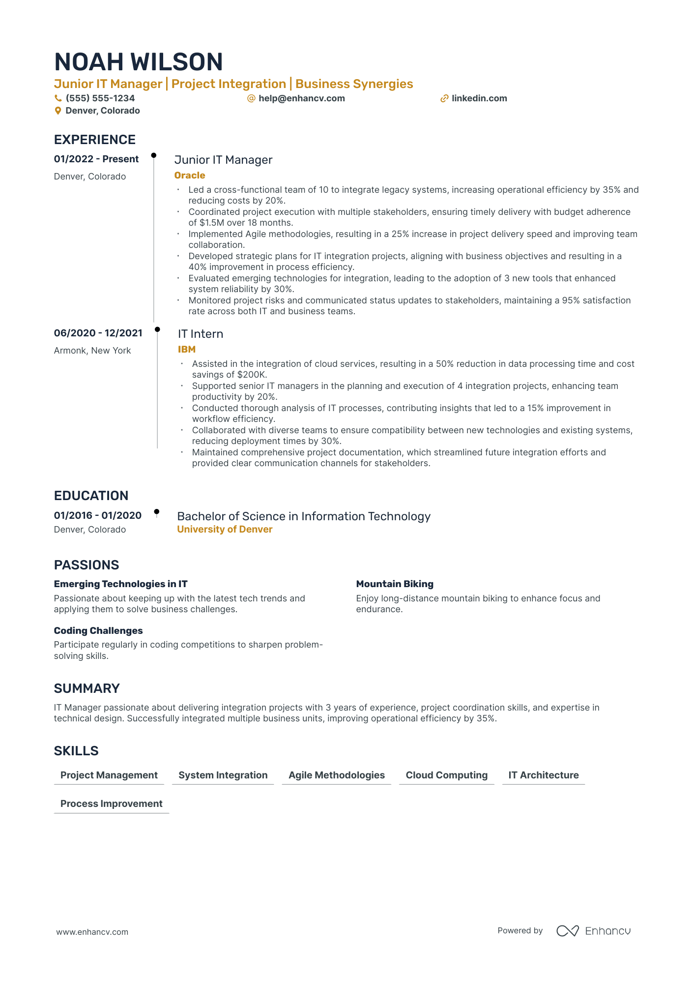 Senior IT Manager resume example