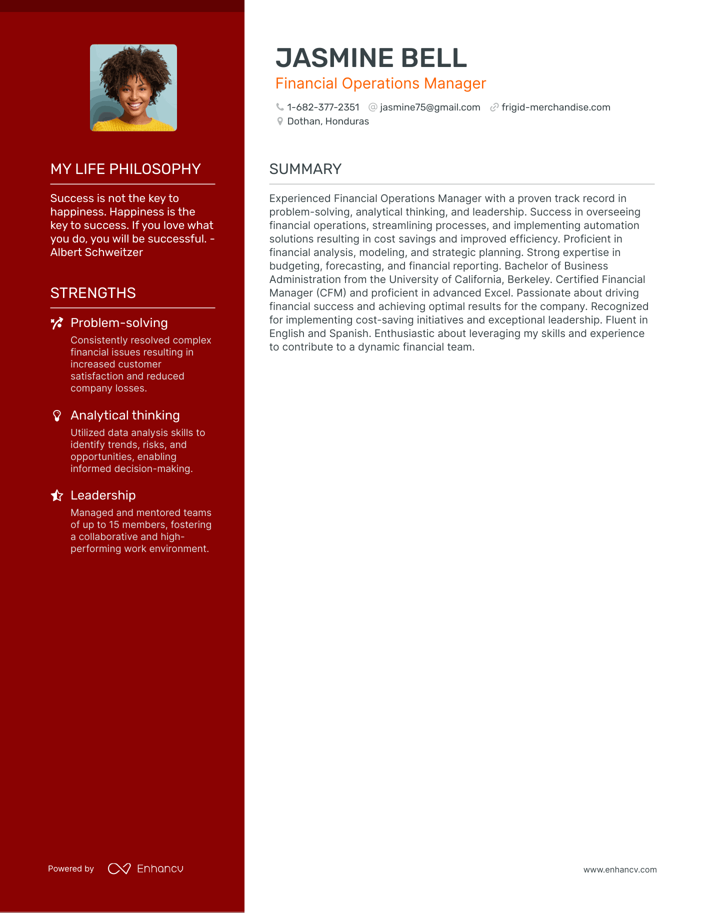 Creative Financial Operations Manager Resume Example