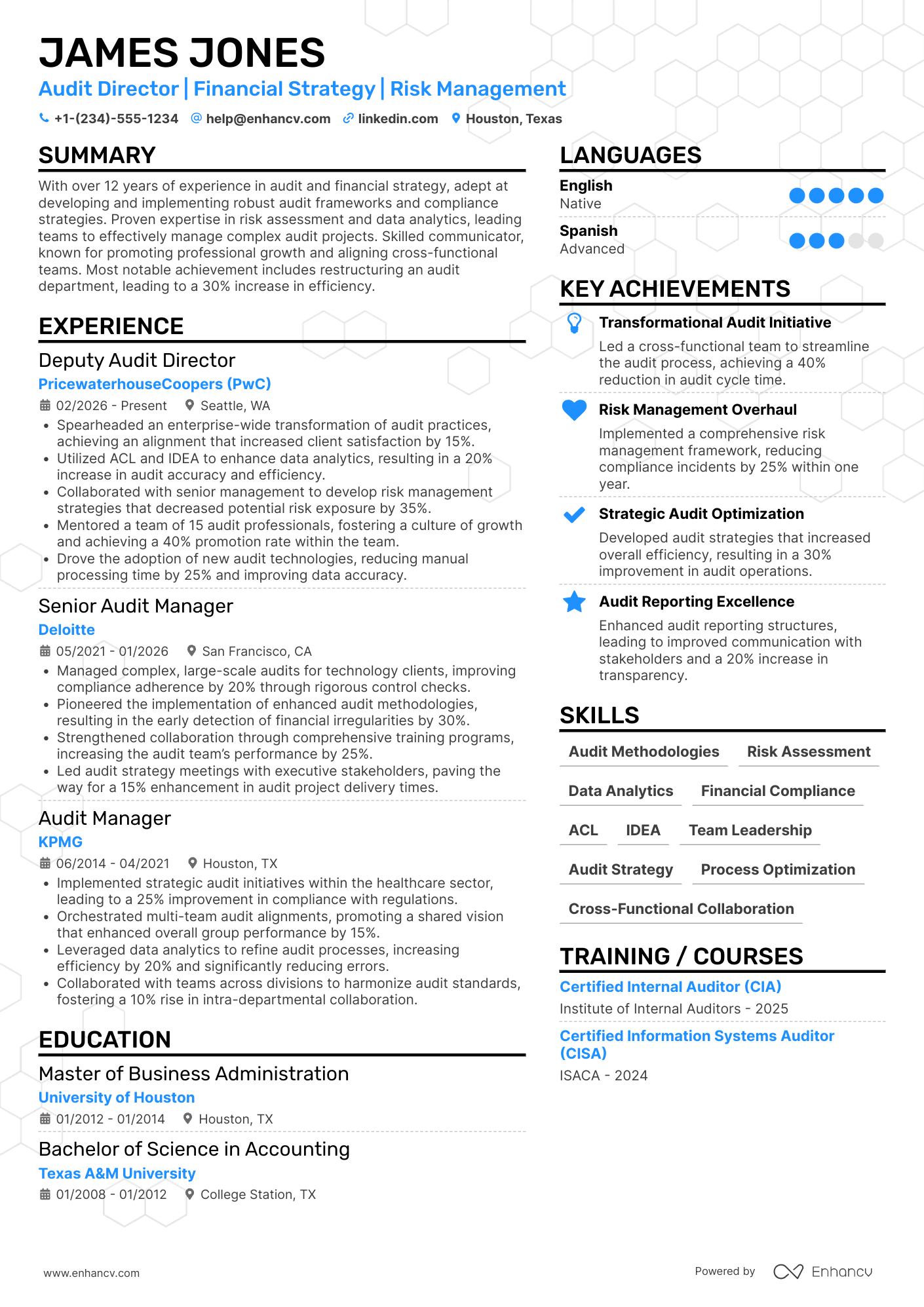Audit Director resume example