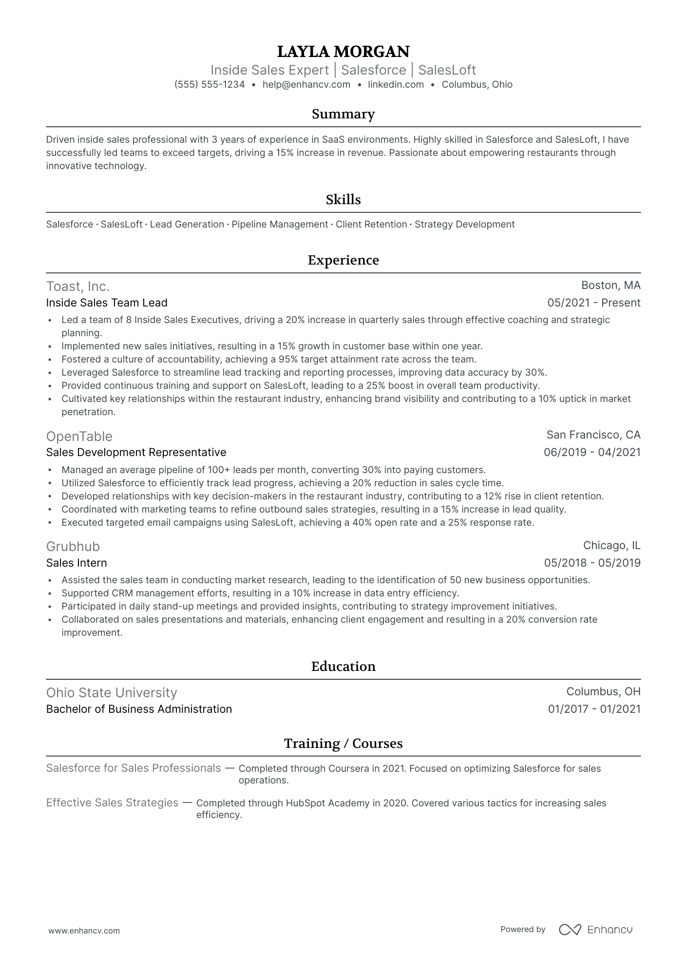 Inside Sales Director resume example