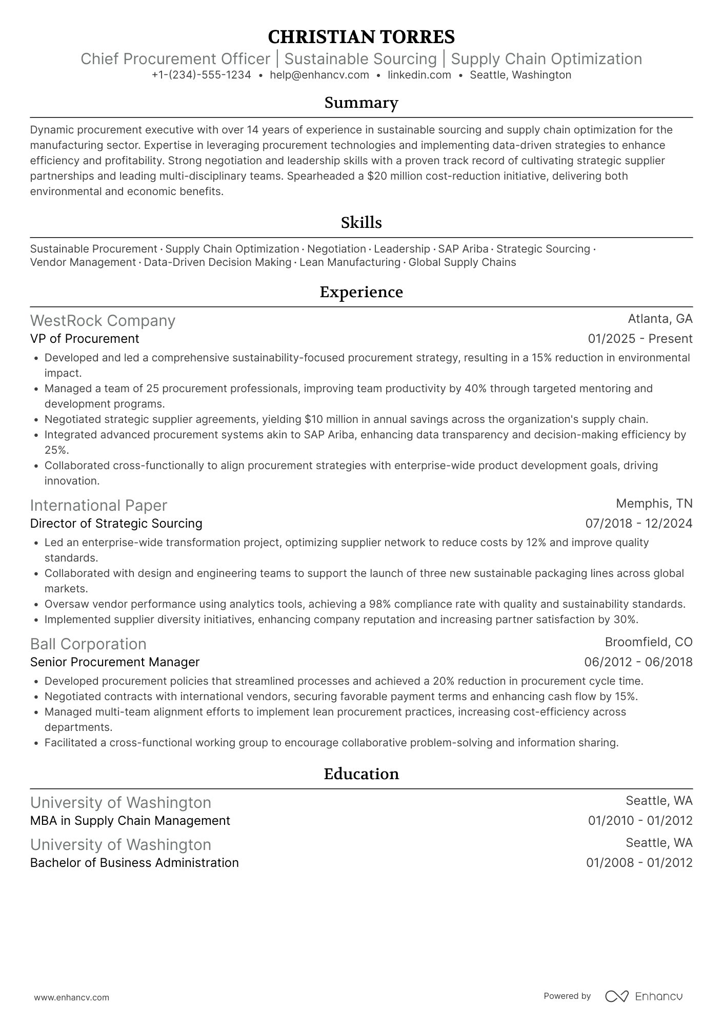 Chief Procurement Officer resume example