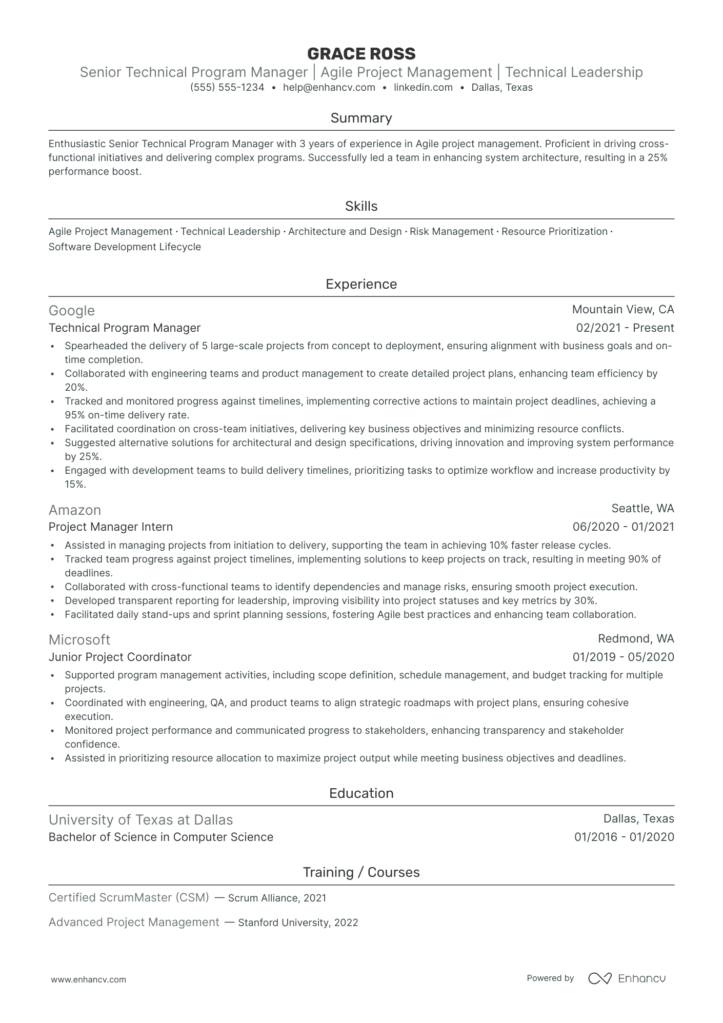 Infrastructure Technical Project Manager resume example