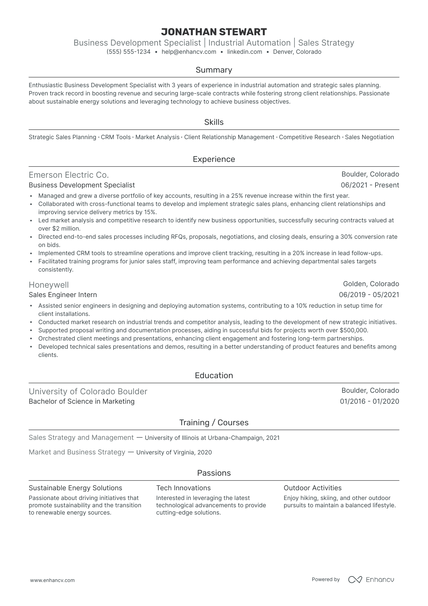 Digital Business Development Manager Resume Example Resume Example