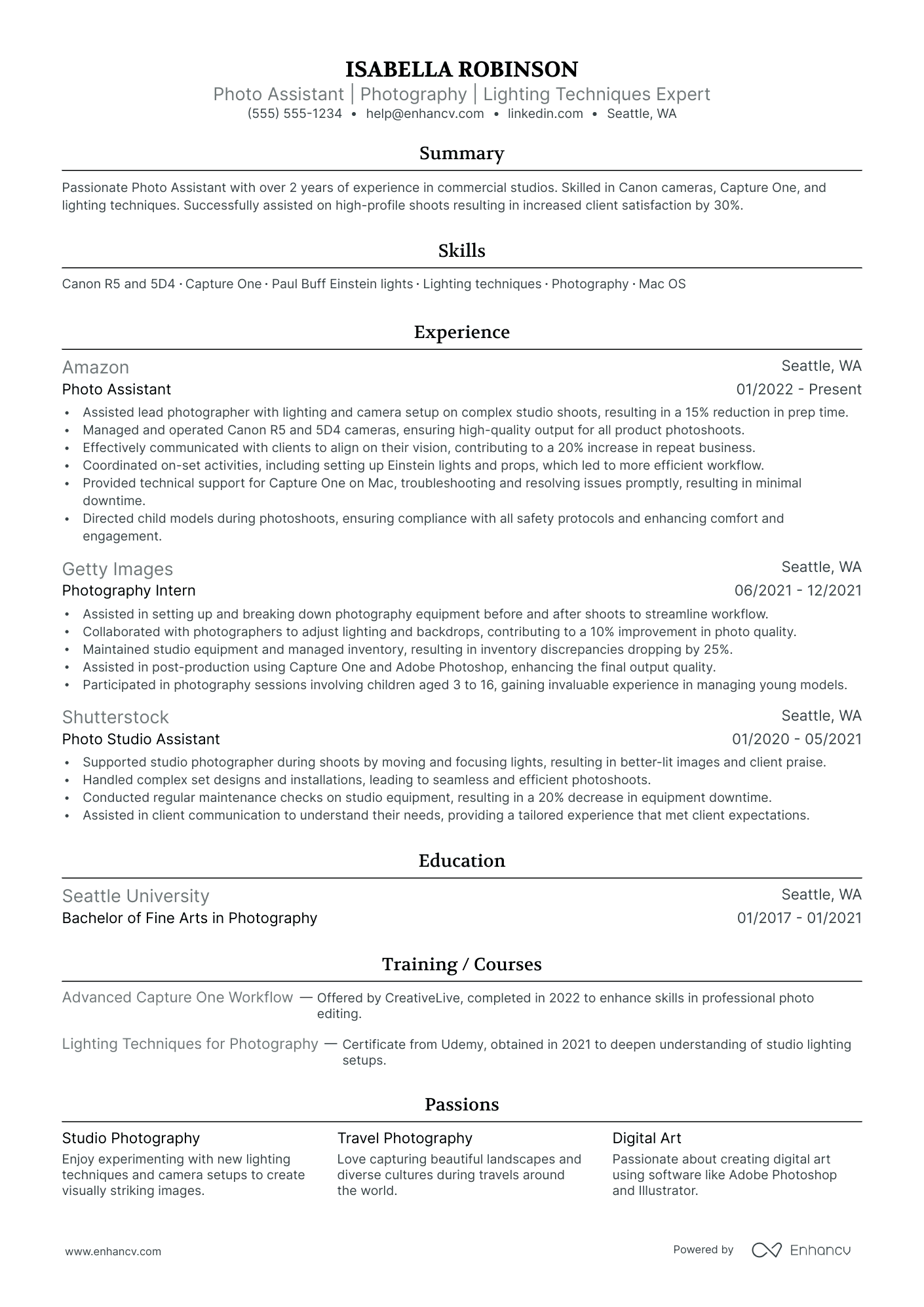 Freelance Artist resume example