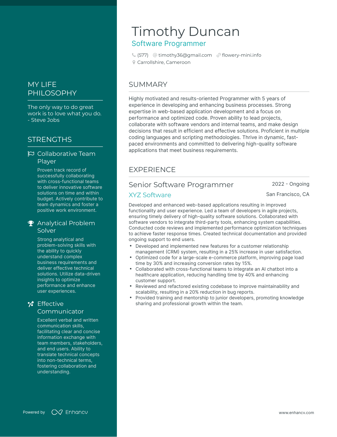 Creative Software Programmer Resume Example