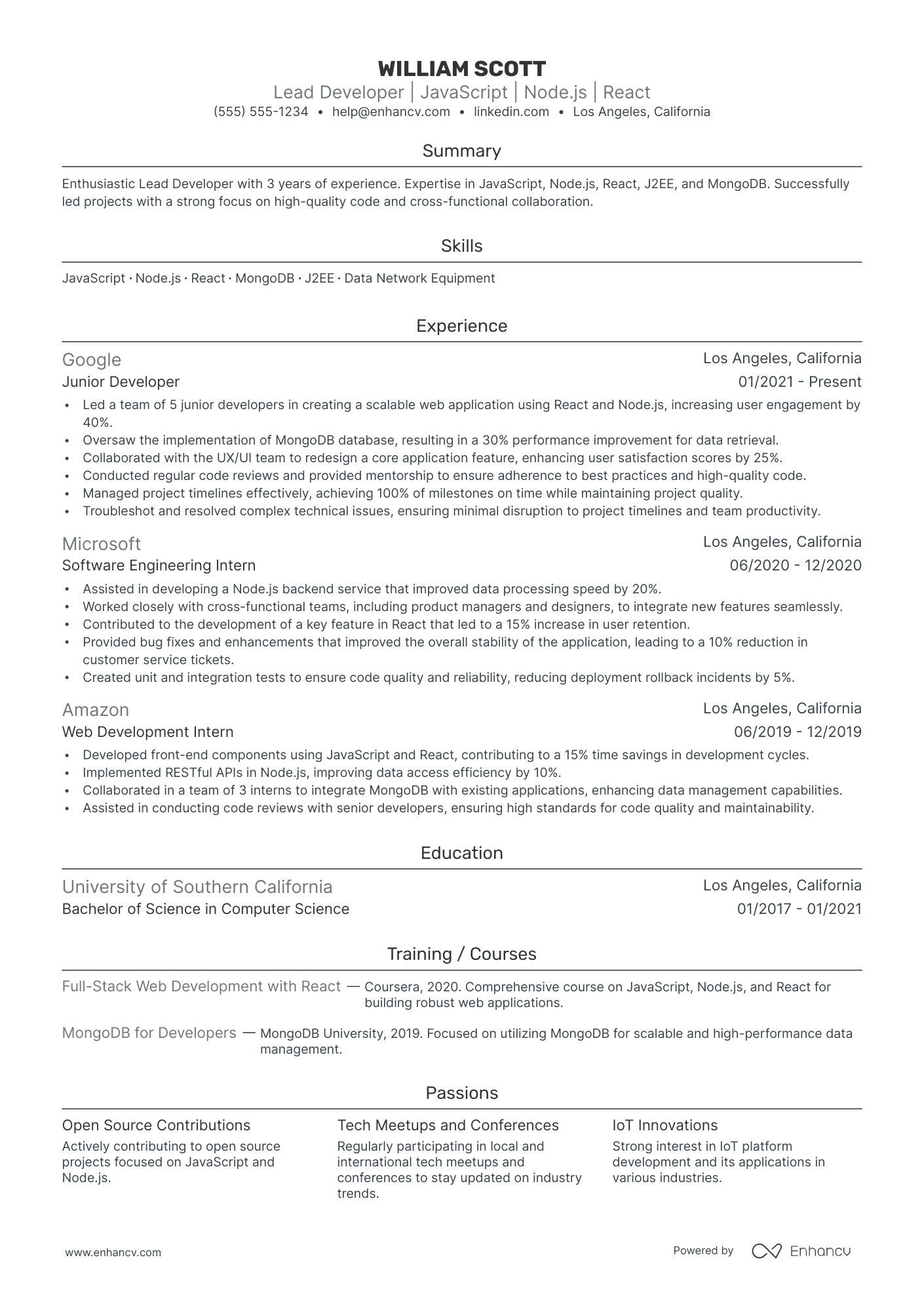 Lead Java Developer Resume Example Resume Example