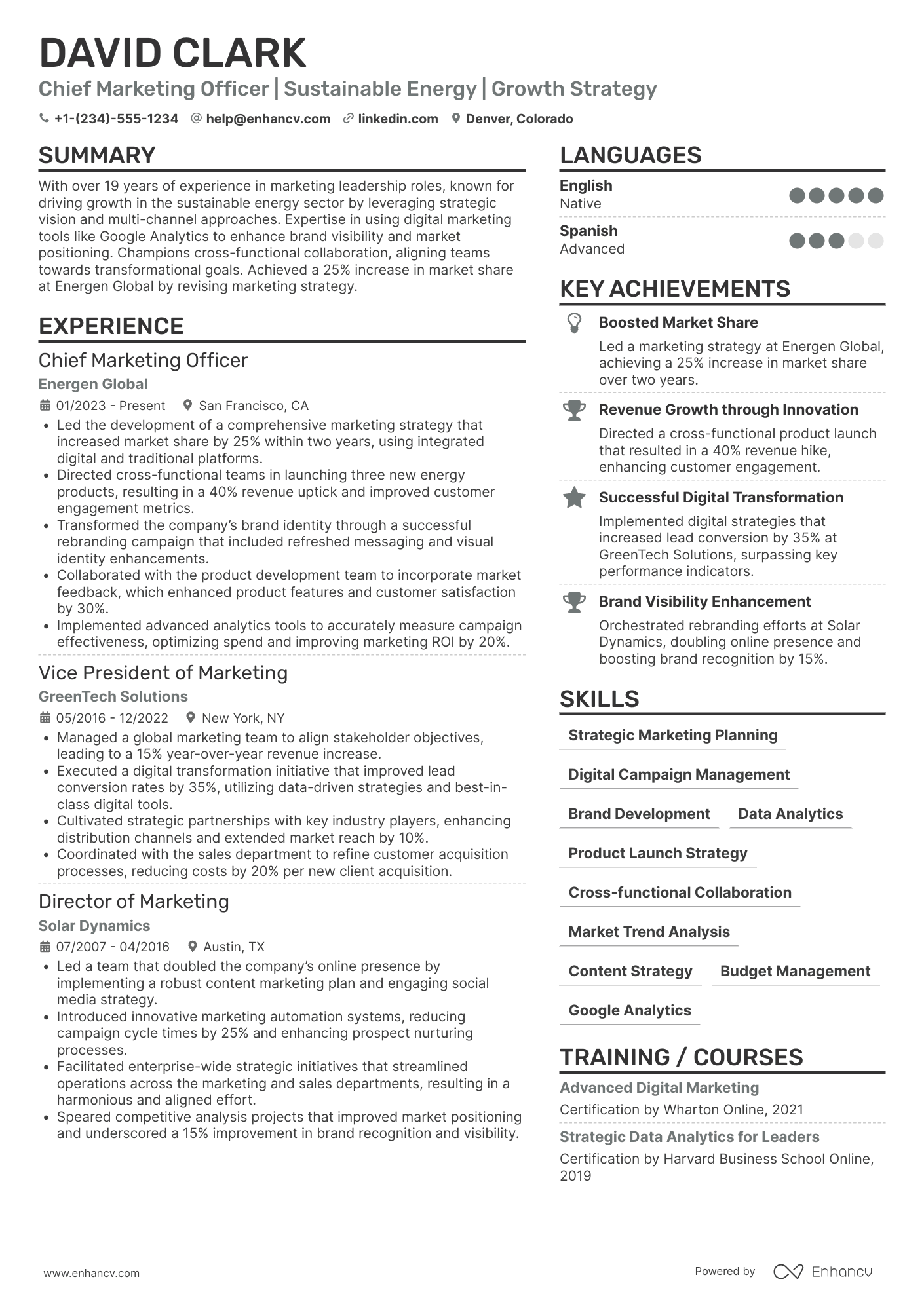 Chief Marketing Officer resume example