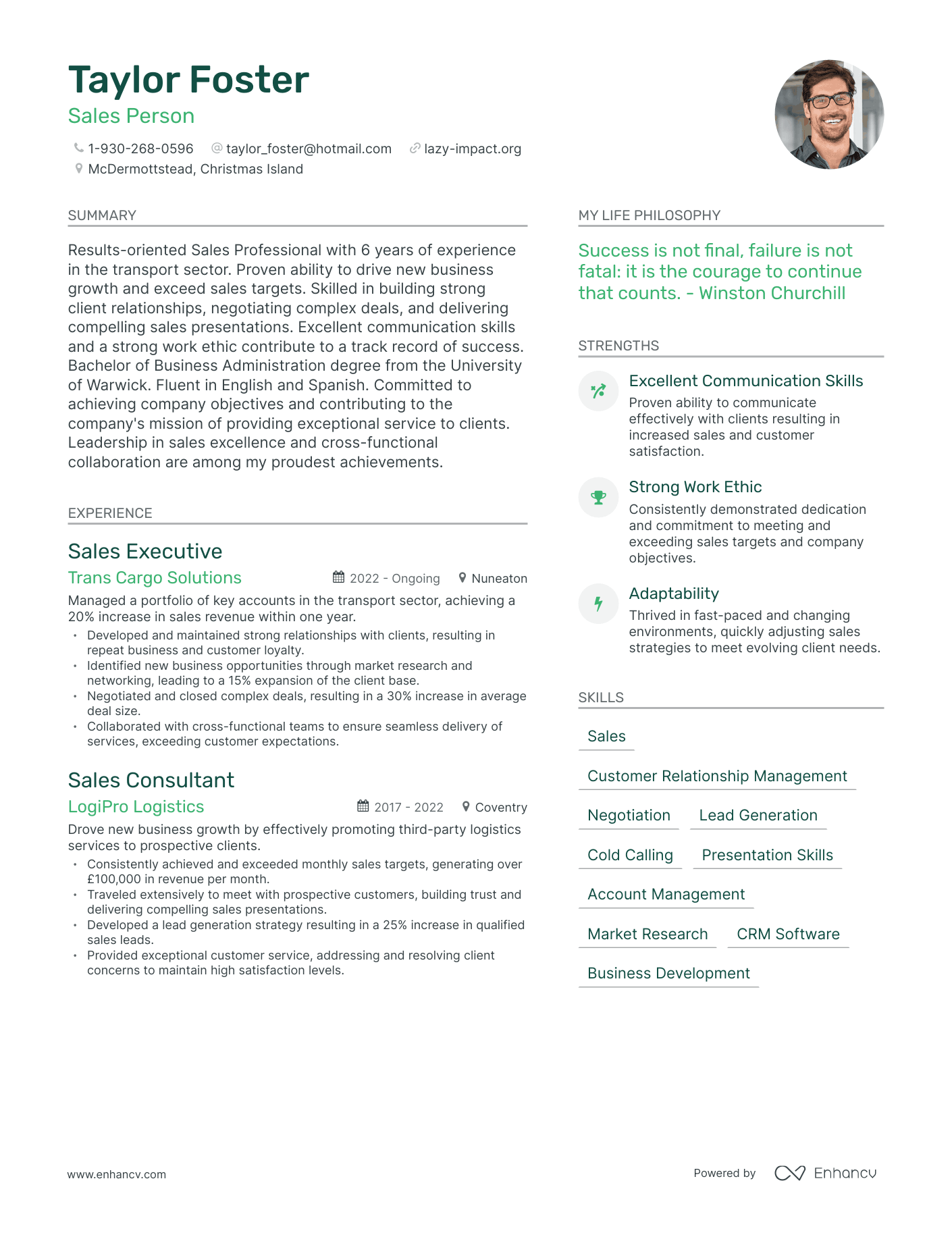 Sales Person resume example