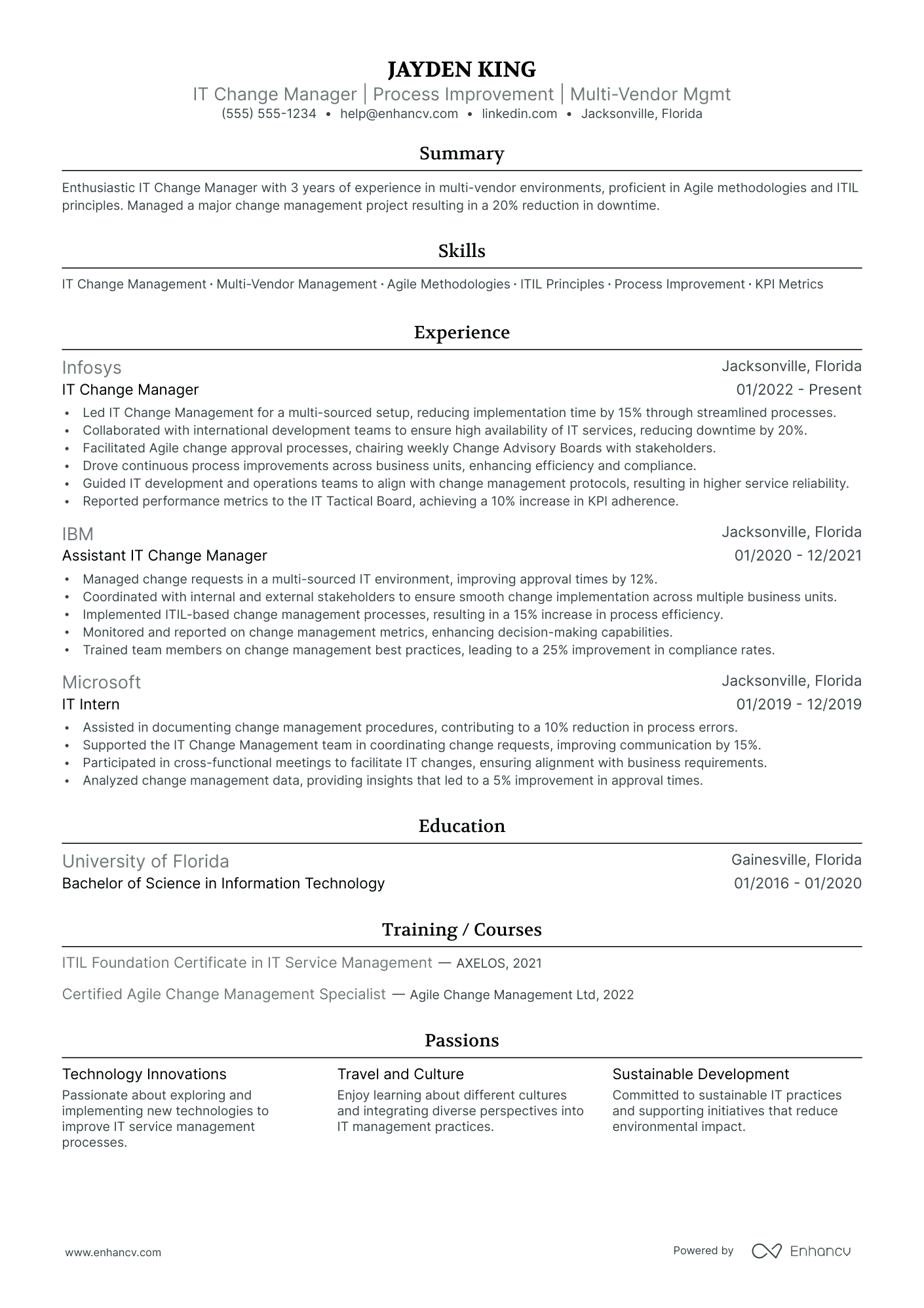 IT Change Manager resume example