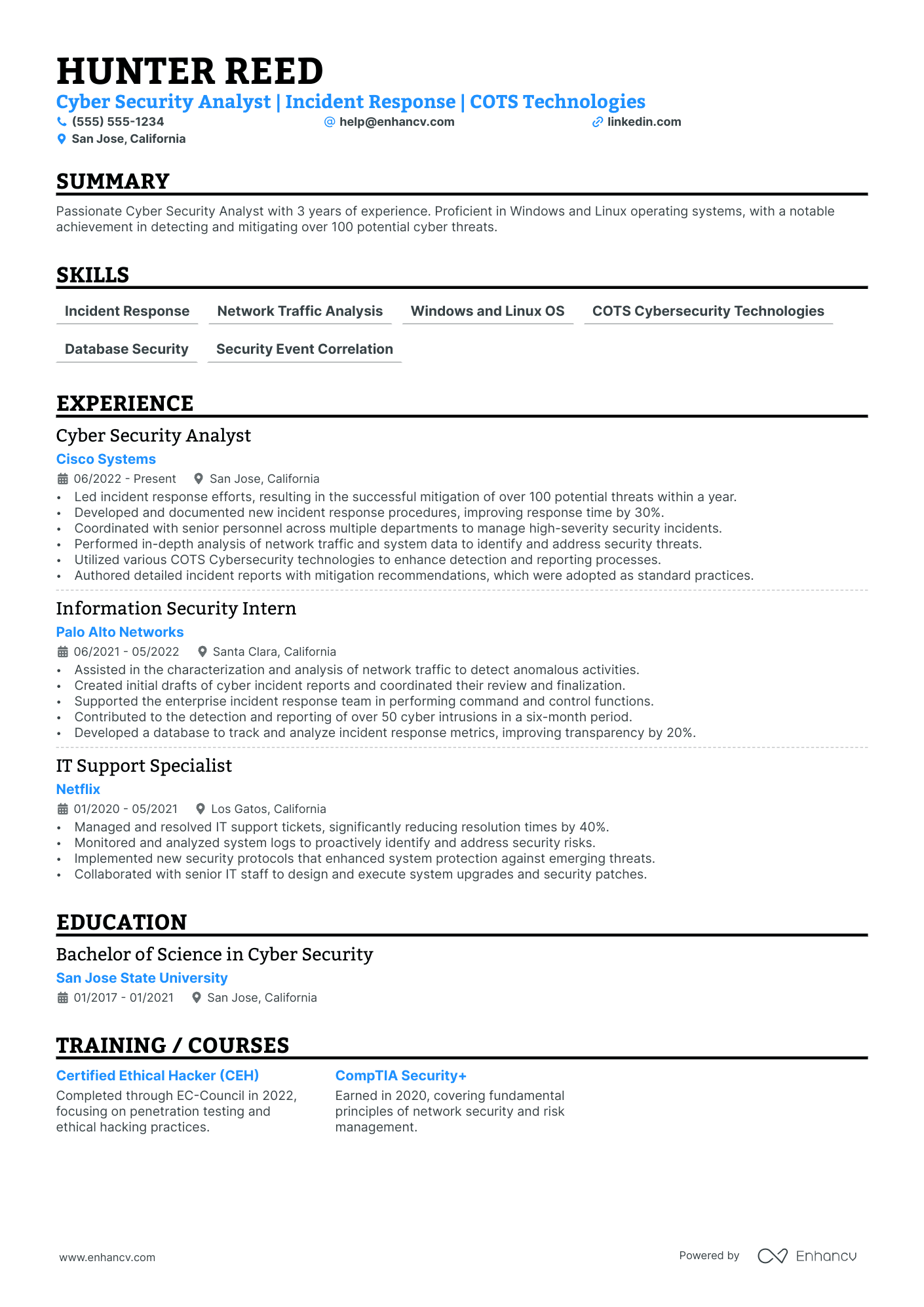 Principal Security Analyst resume example