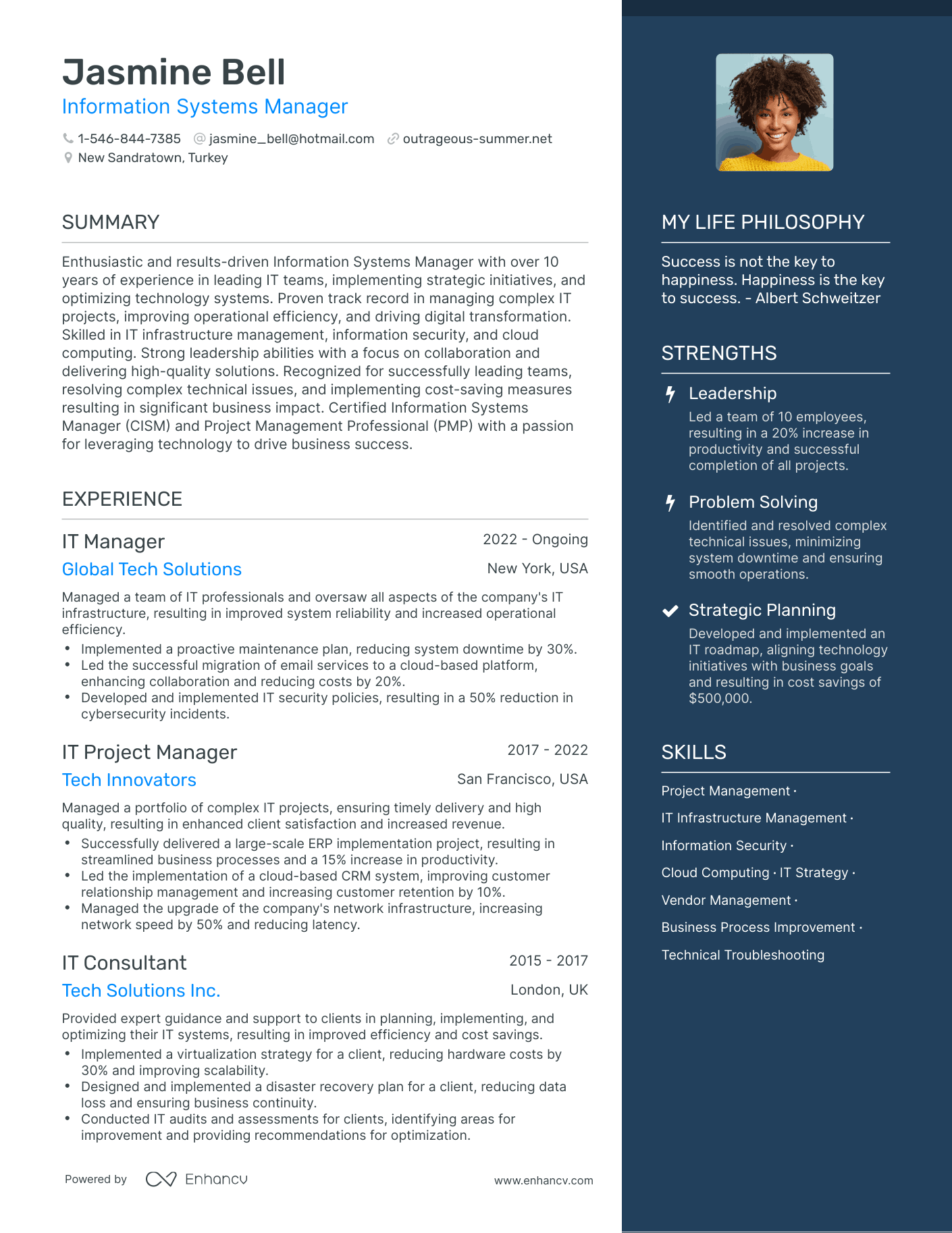 Modern Information Systems Manager Resume Example