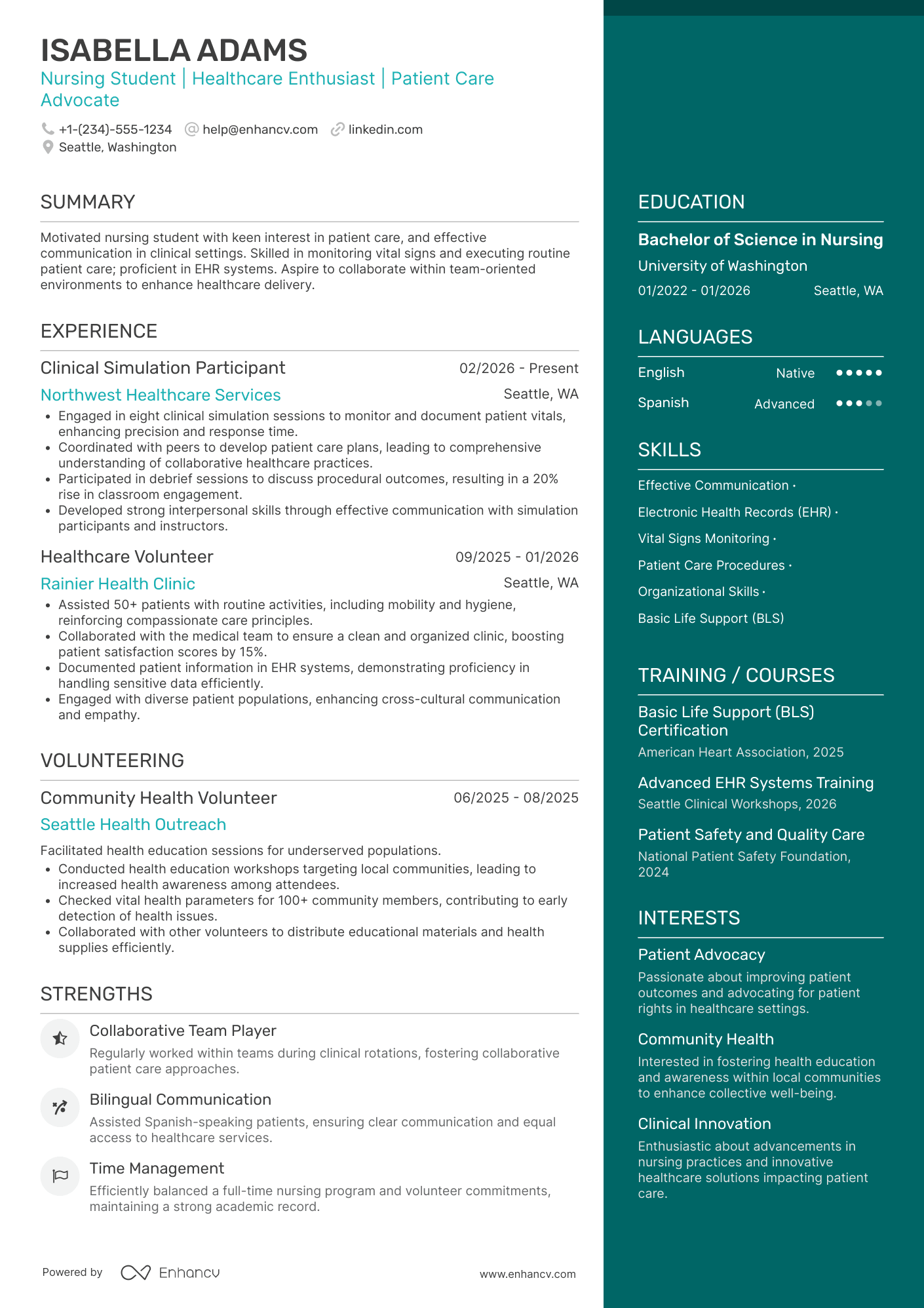 Nurse Extern resume example