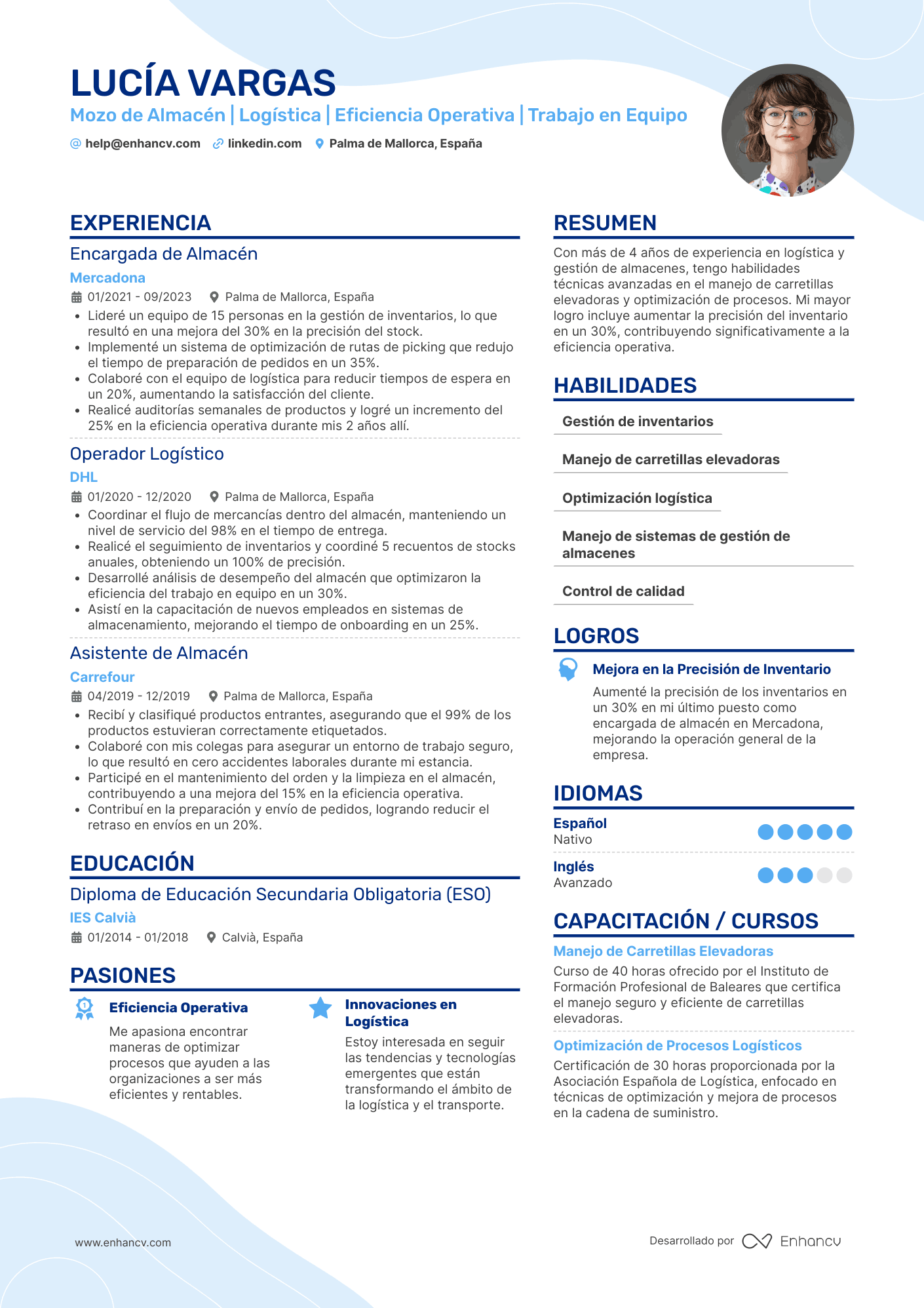 mozo de almacen CV