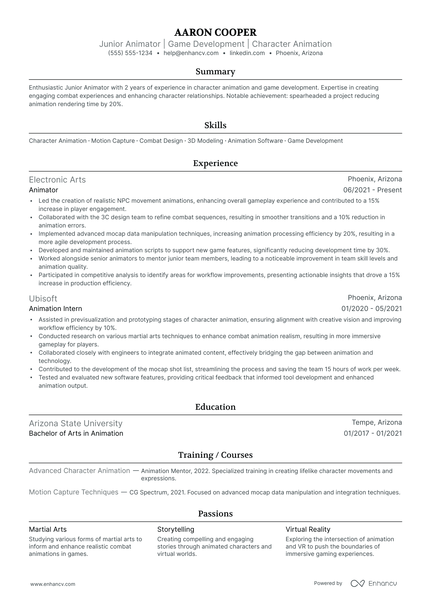 Animation Director resume example