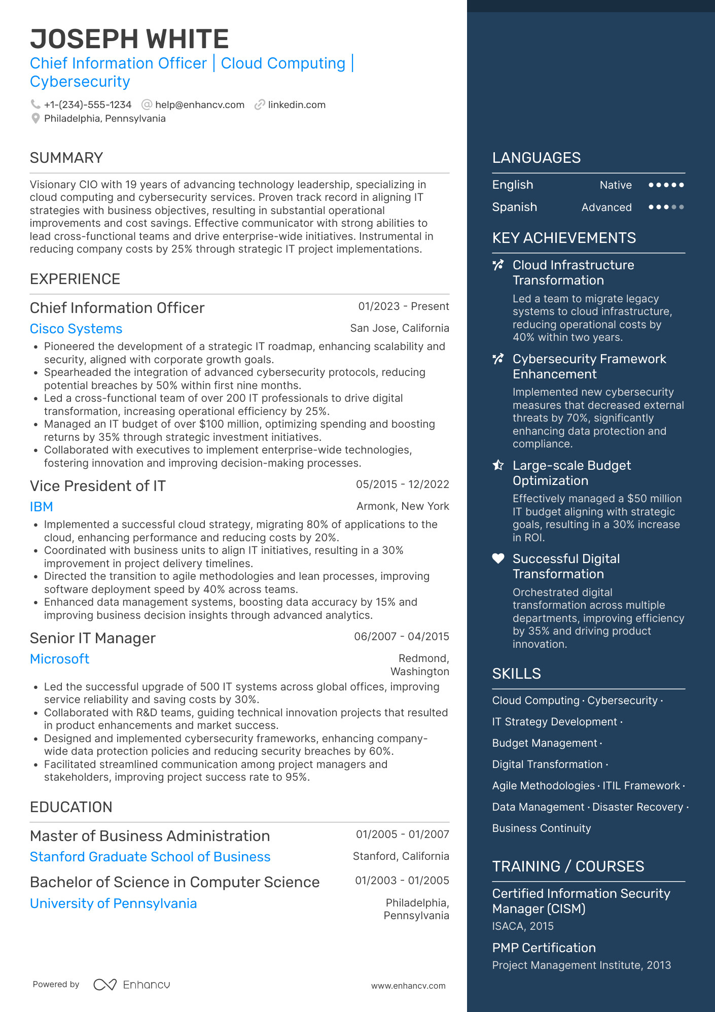 CIO resume example