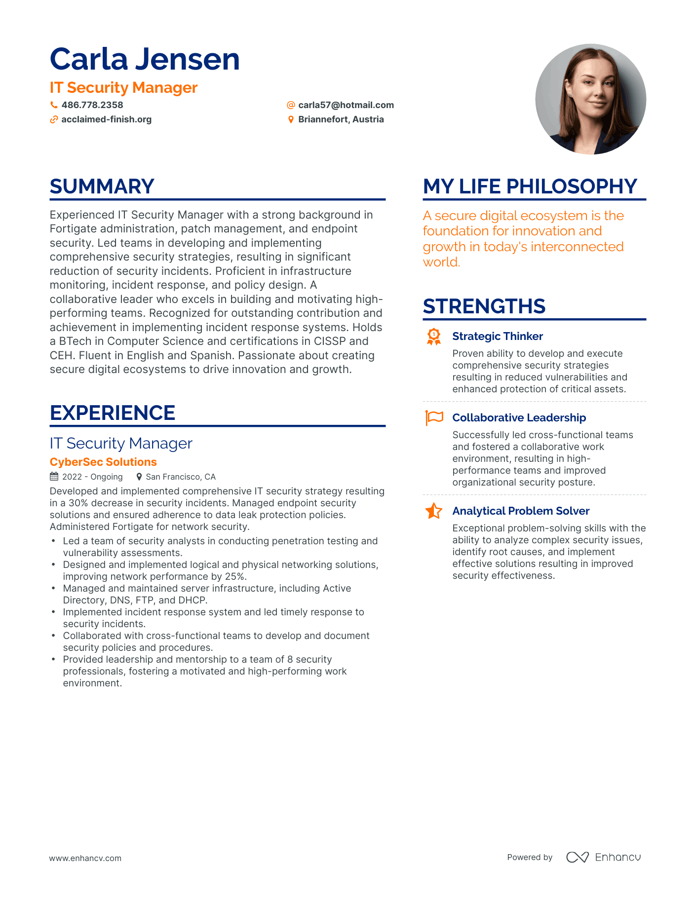 IT Security Manager resume example