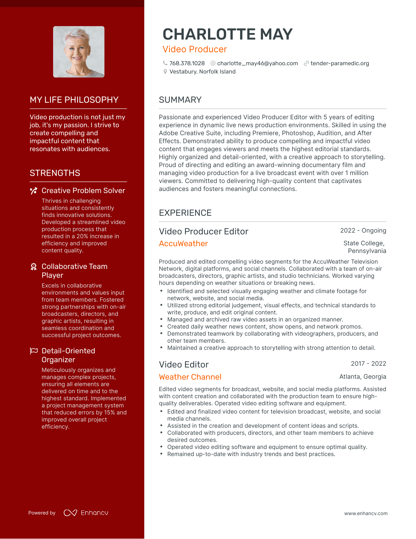 Creative Video Producer Resume Example