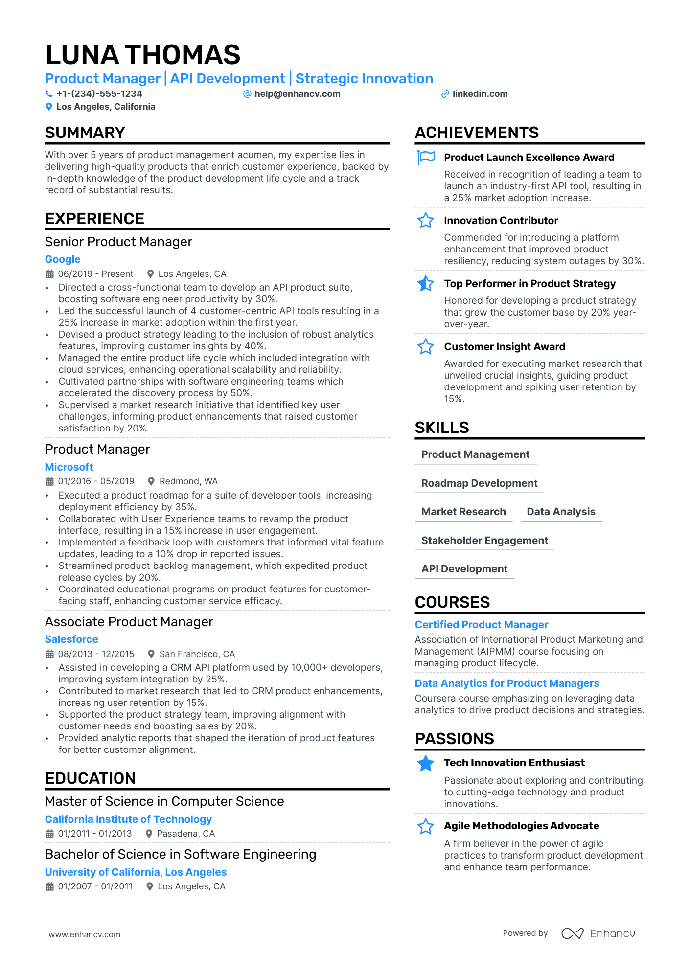 Api Product Manager resume example