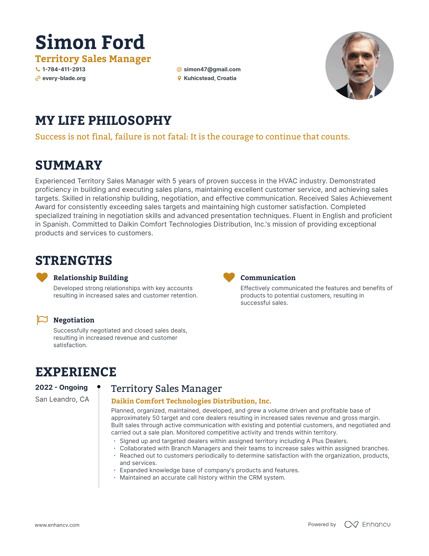 Creative Territory Sales Manager Resume Example