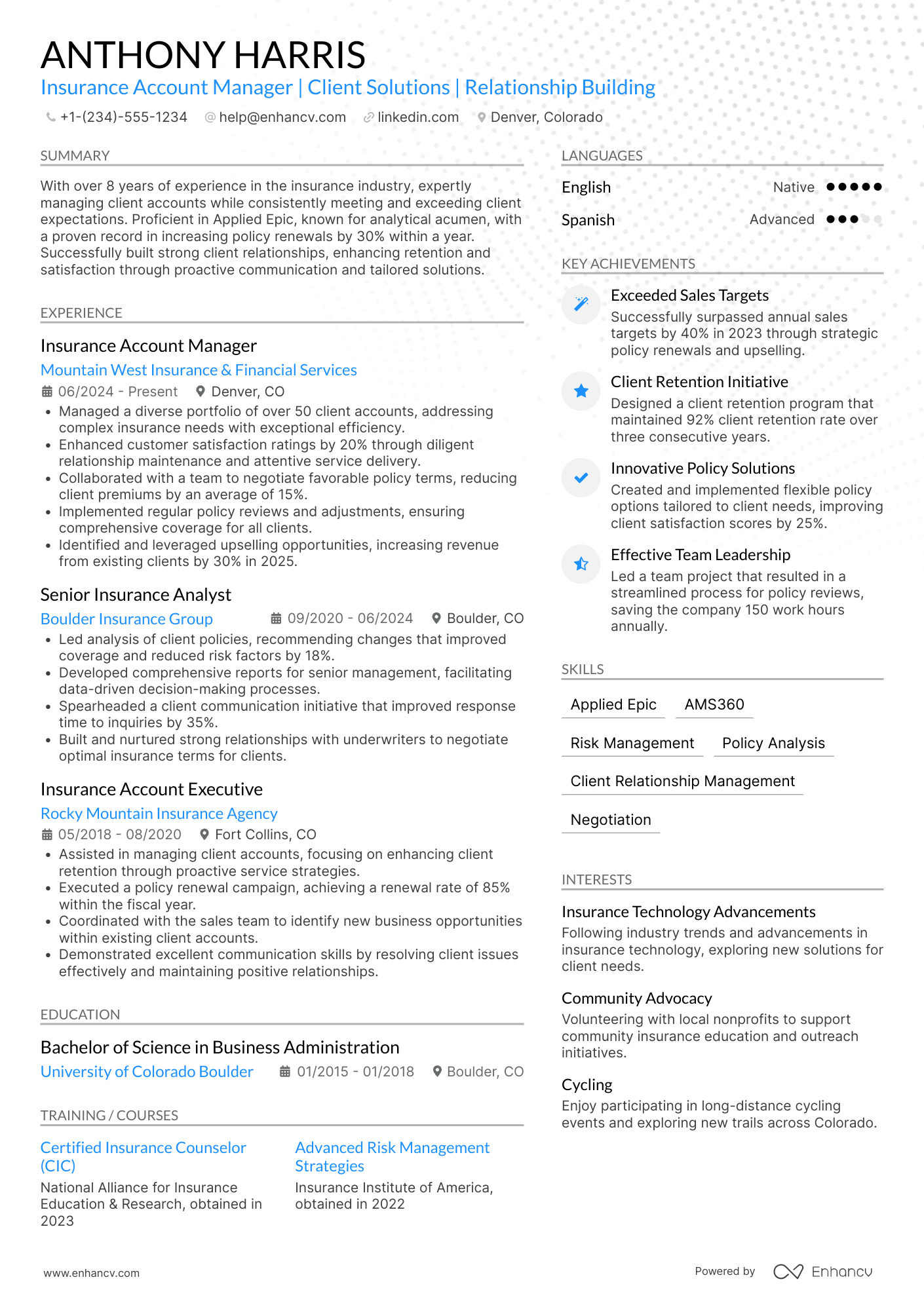 Insurance Account Manager resume example