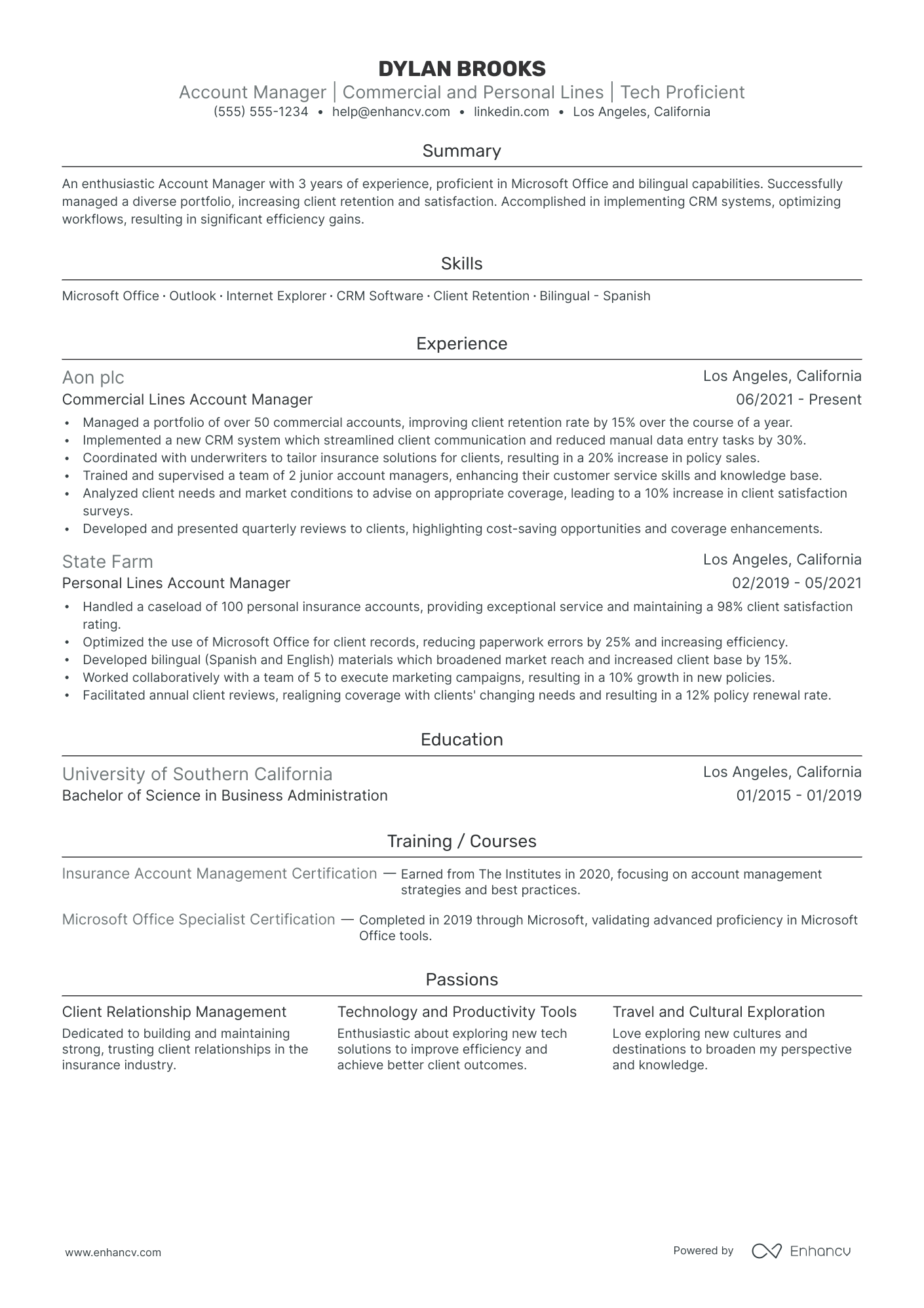 Personal Lines Insurance Agent resume example