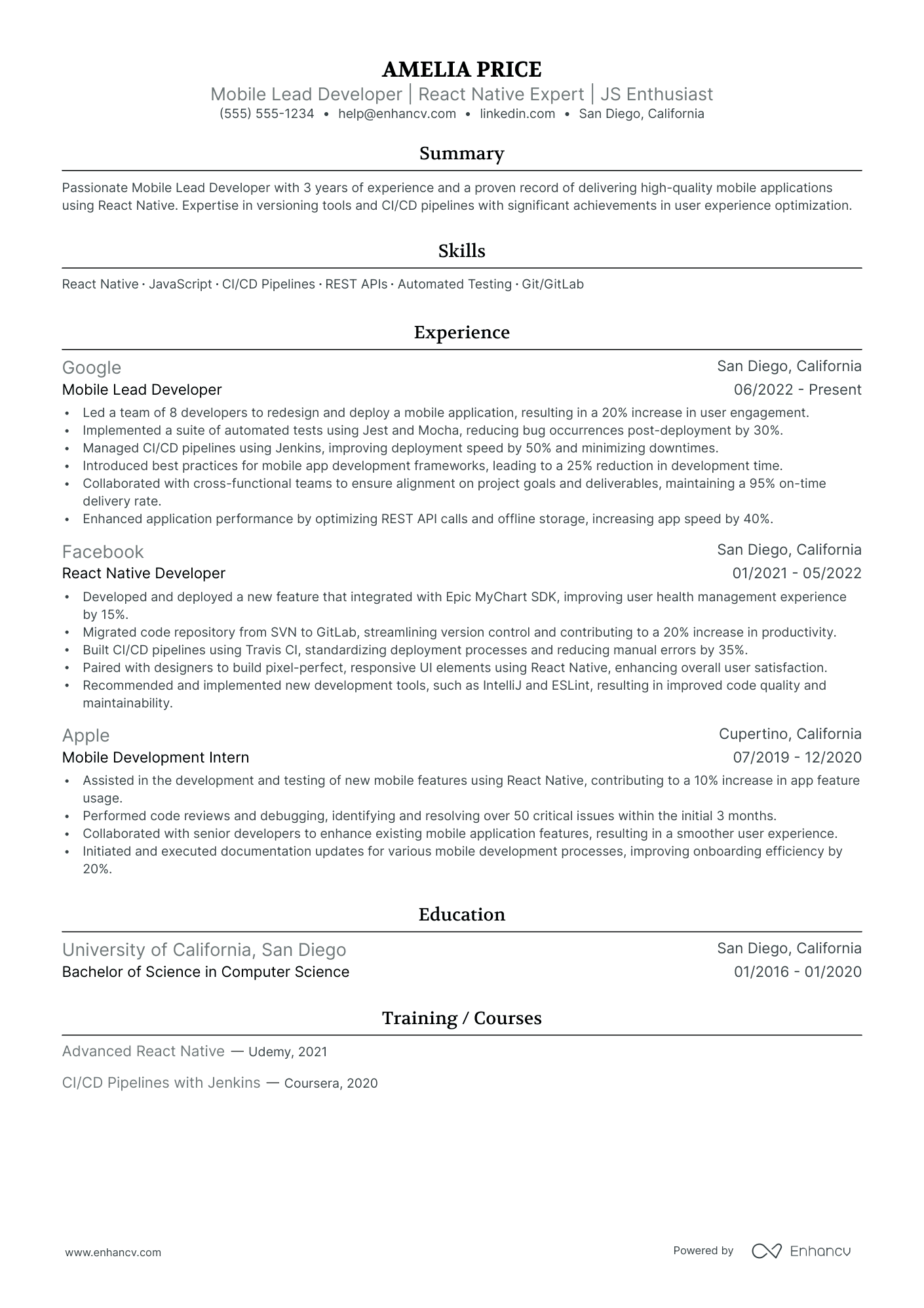 Lead Mobile Developer resume example