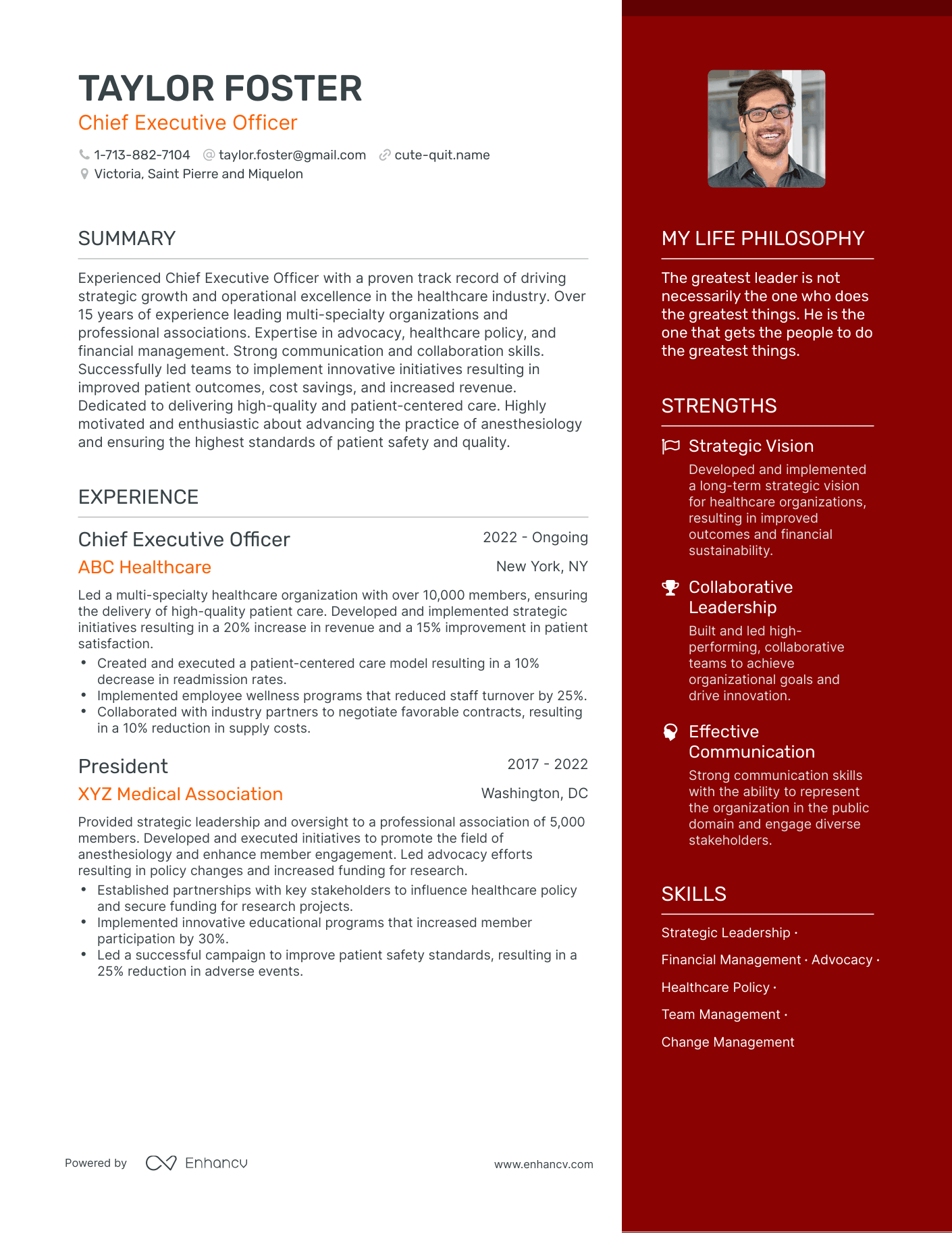 Modern Chief Executive Officer Resume Example