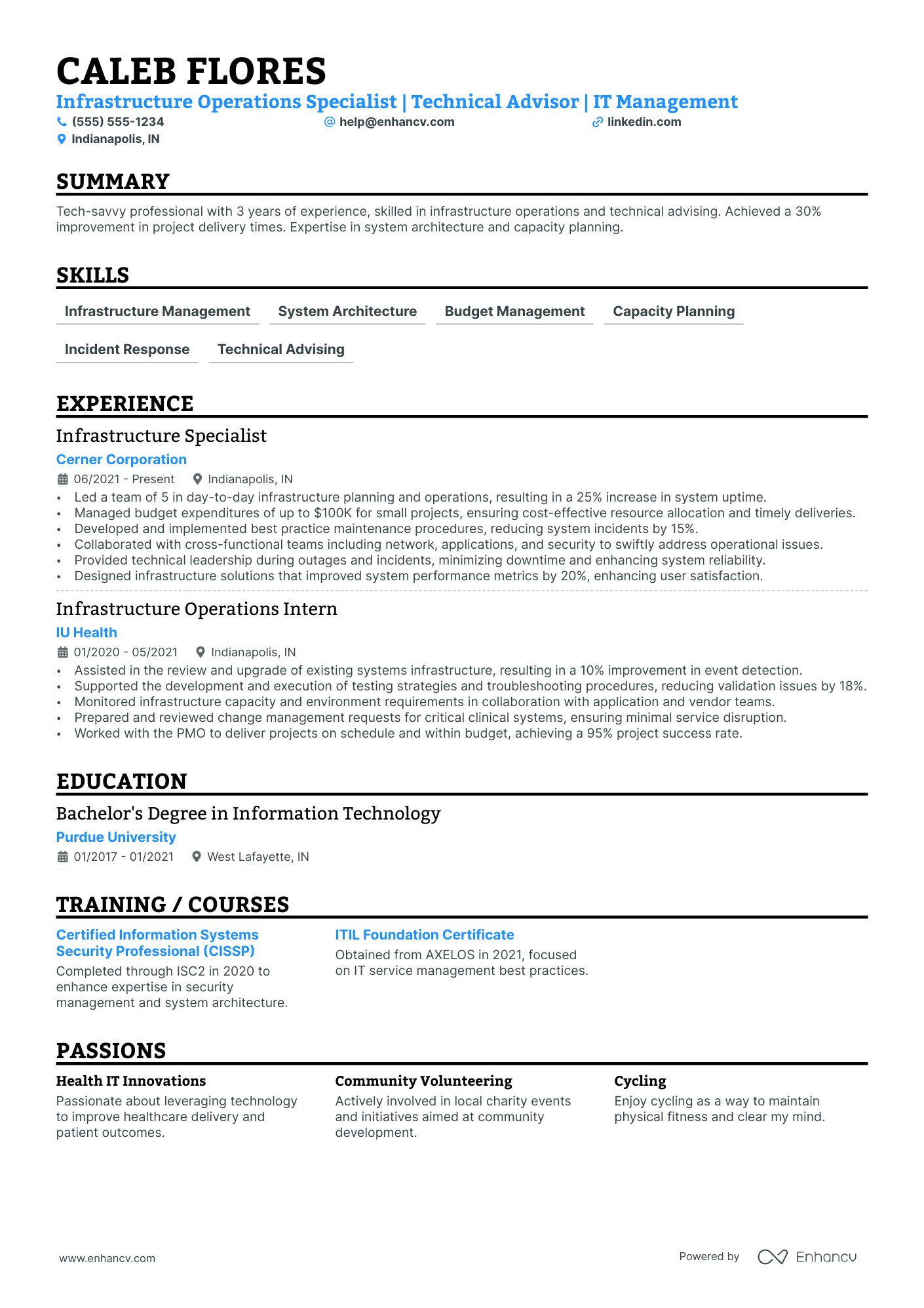 IT Service Manager resume example