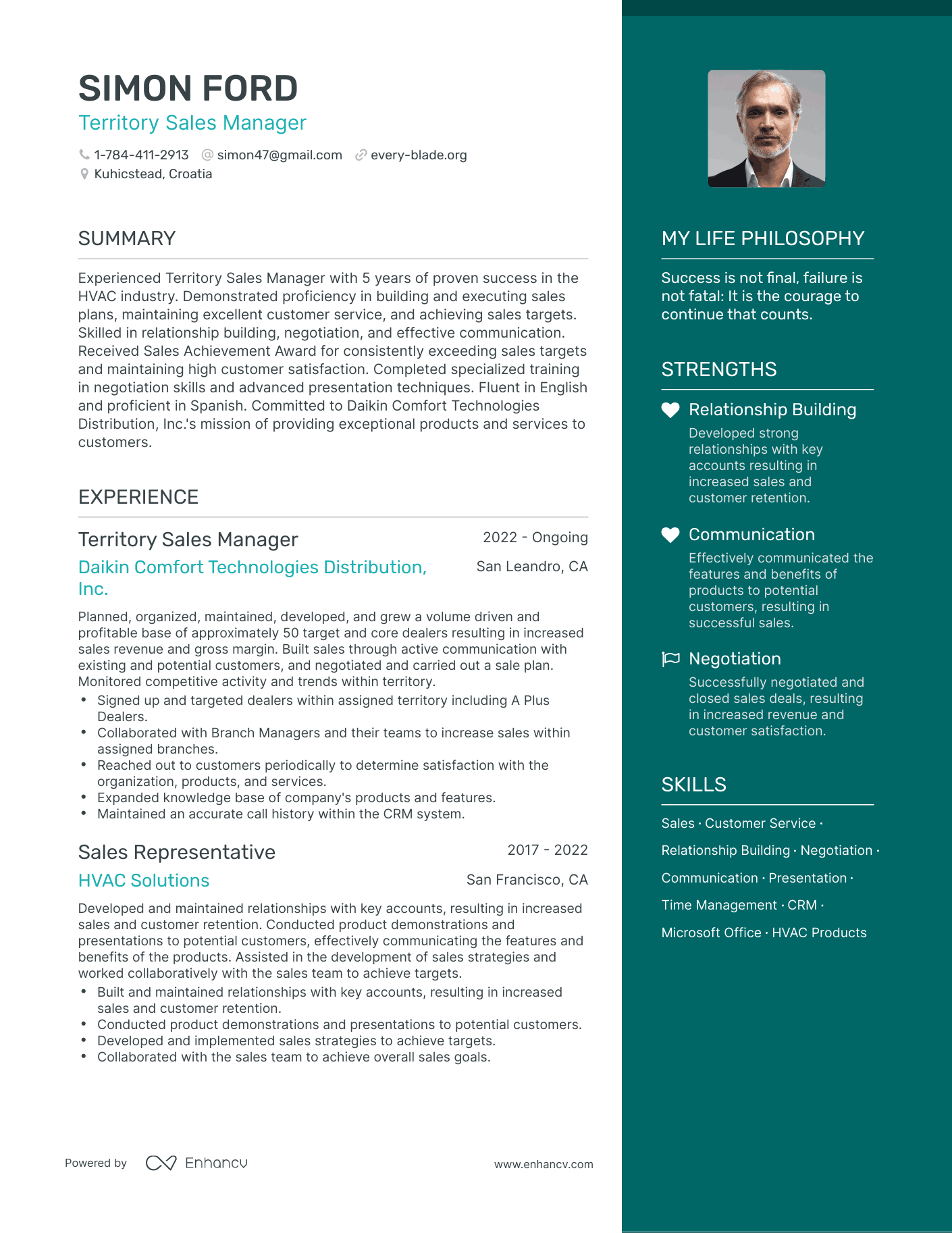 Modern Territory Sales Manager Resume Example
