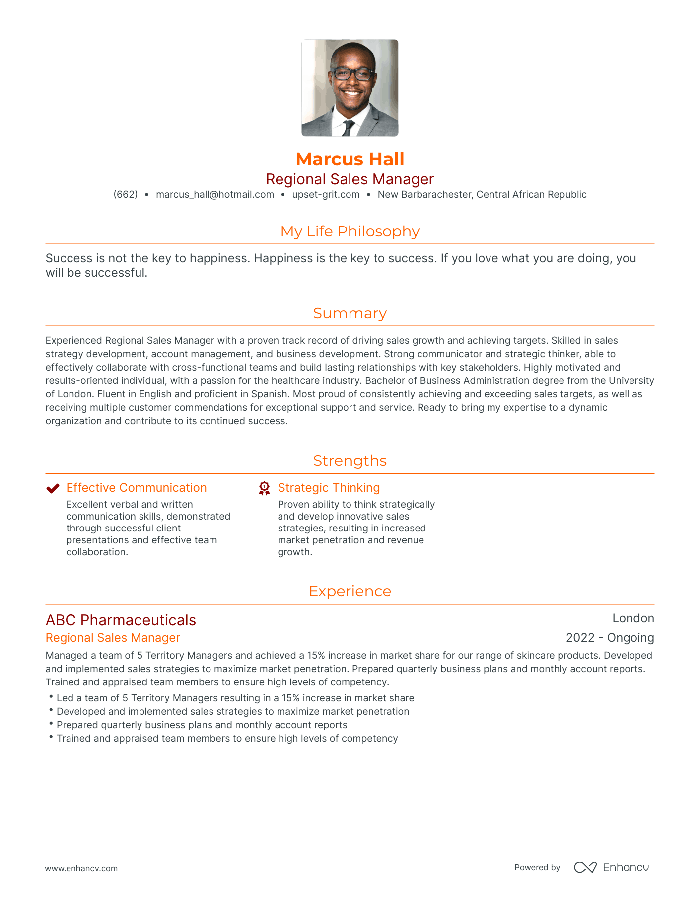 Modern Regional Sales Manager Resume Example