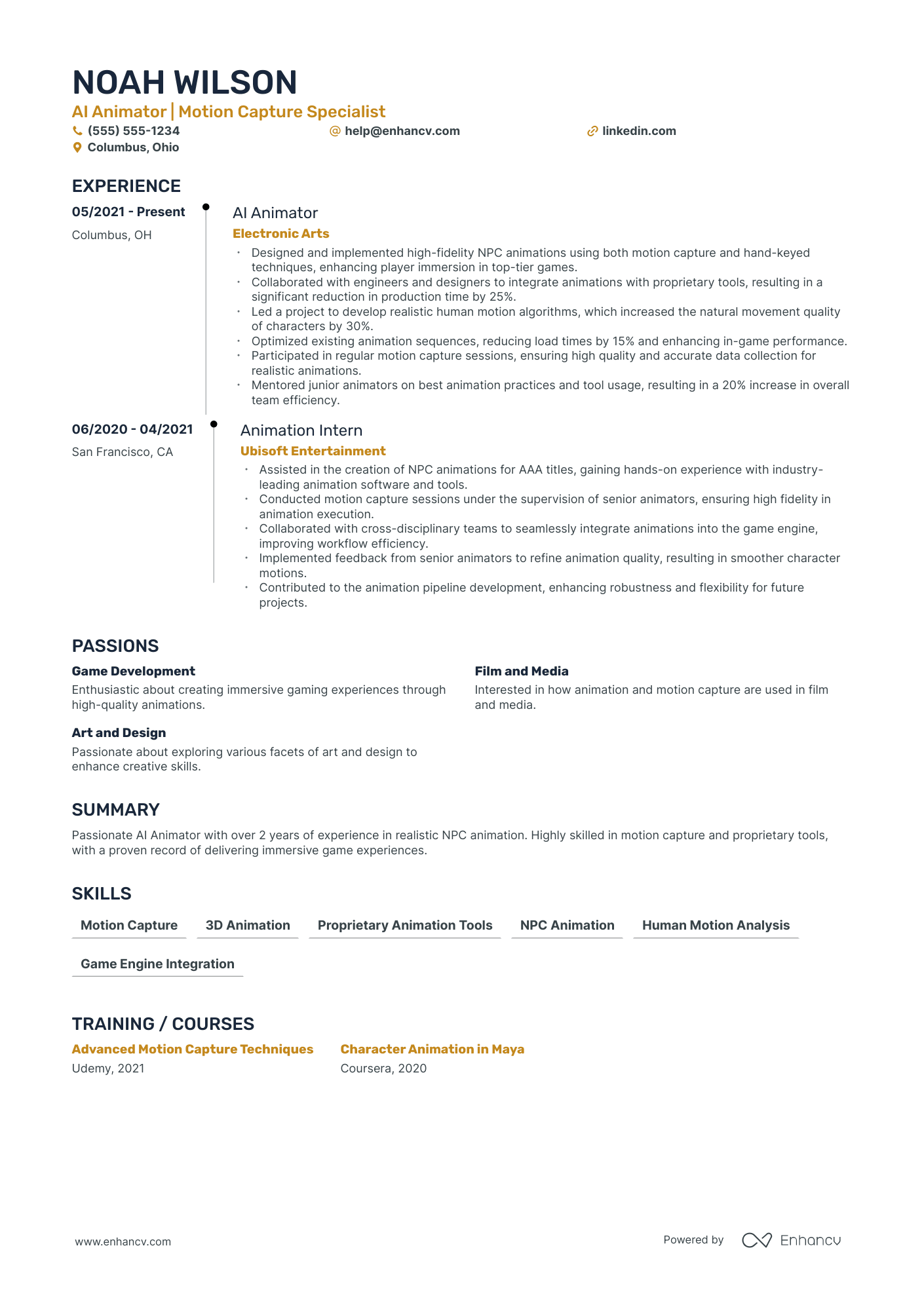 Visual Effects Animator resume example