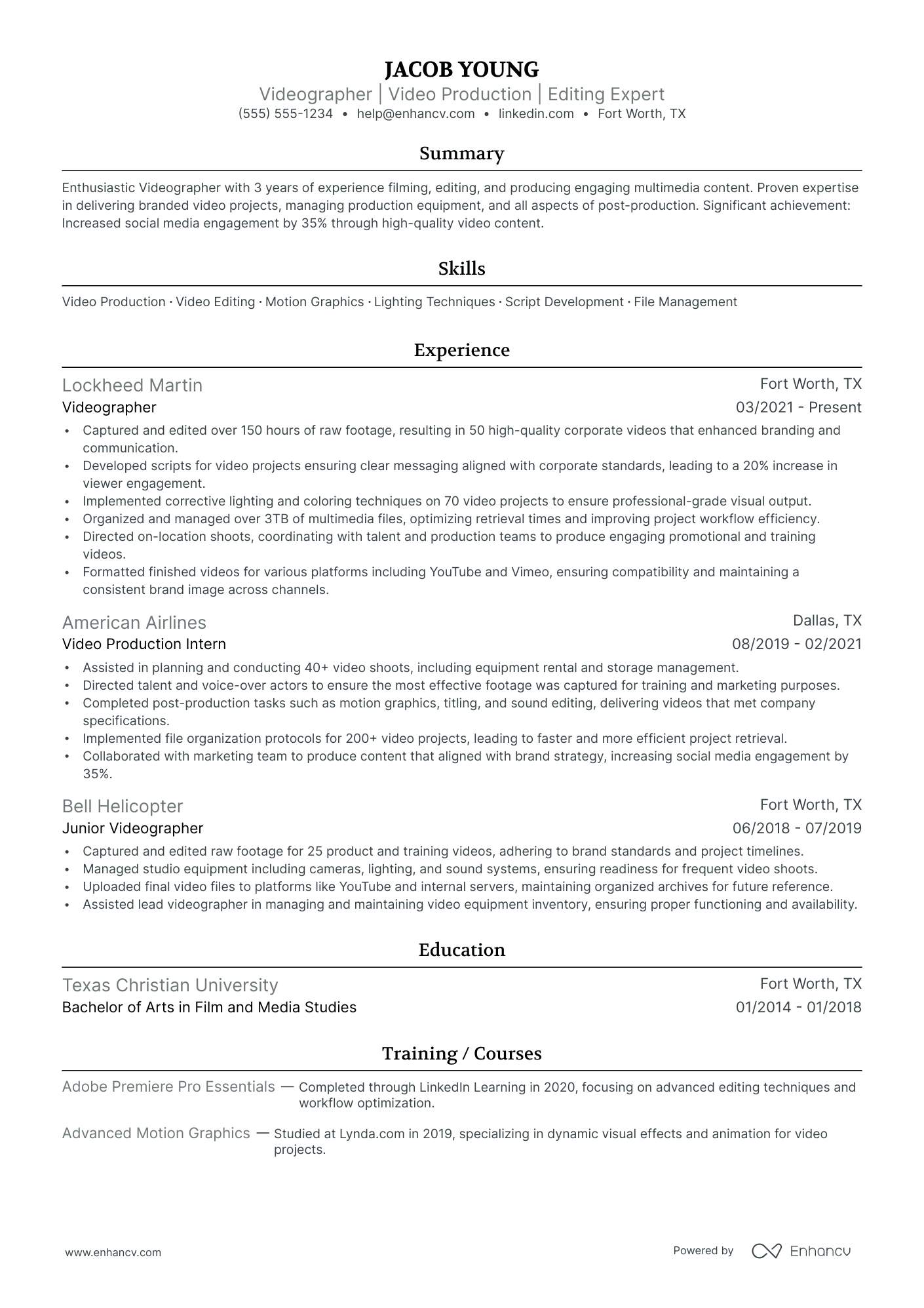 Video Editor Consultant resume example