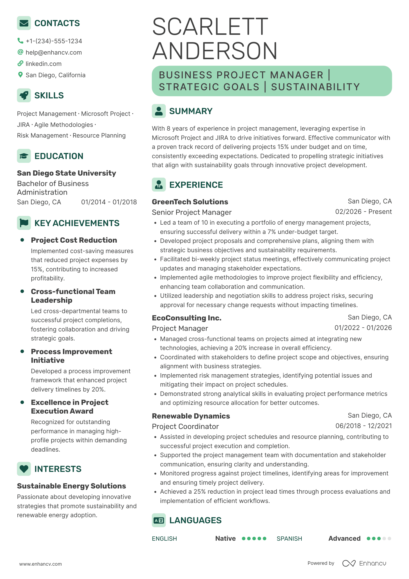 Business Project Manager resume example