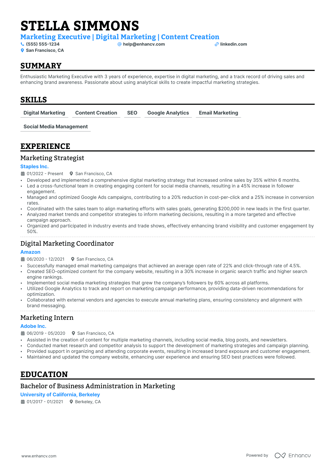 SEO Executive resume example