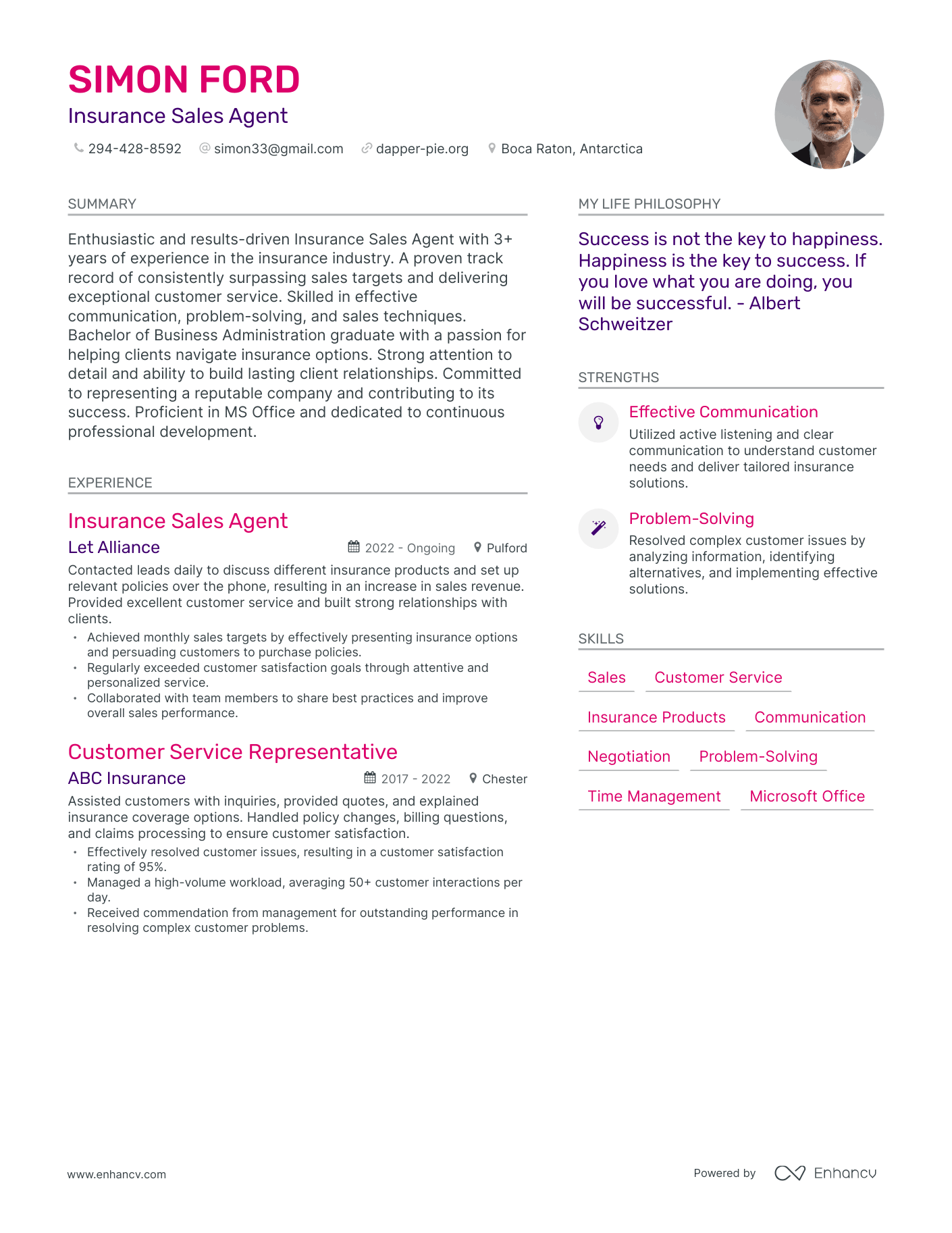 Modern Insurance Sales Agent Resume Example