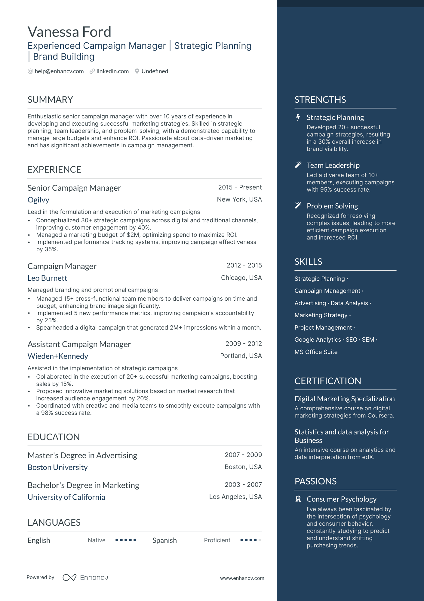 Campaign Manager resume example