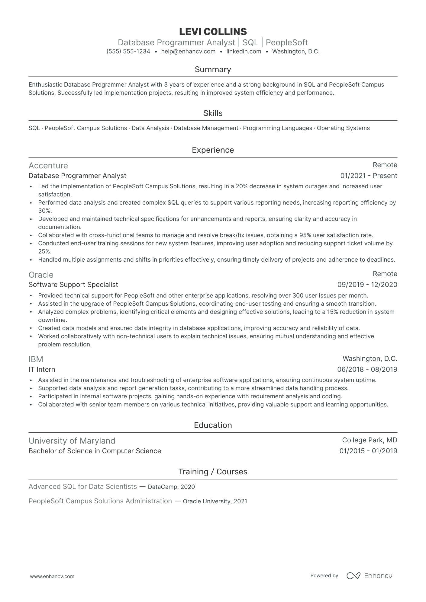 Database Programmer resume example