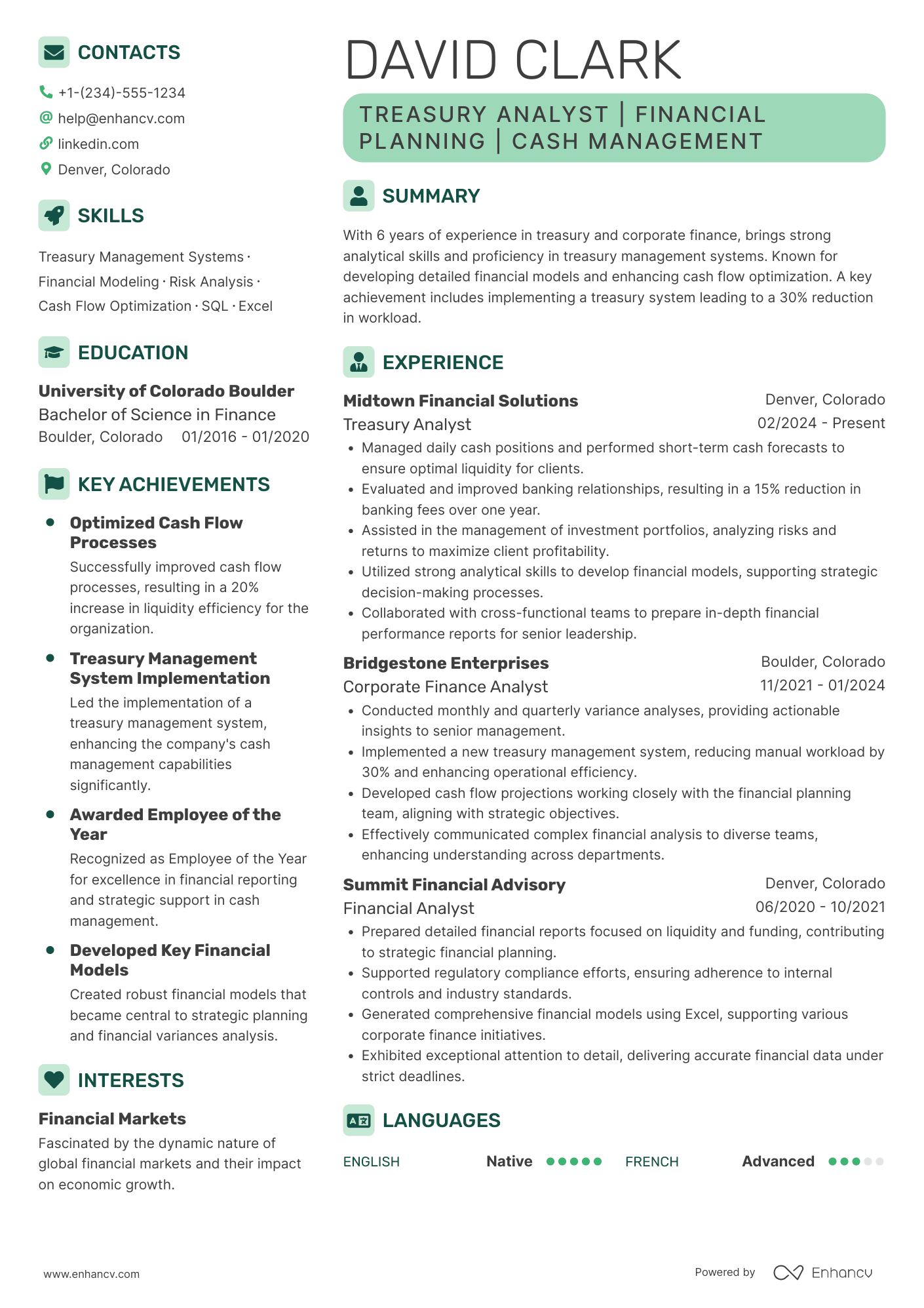 Treasury Analyst resume example