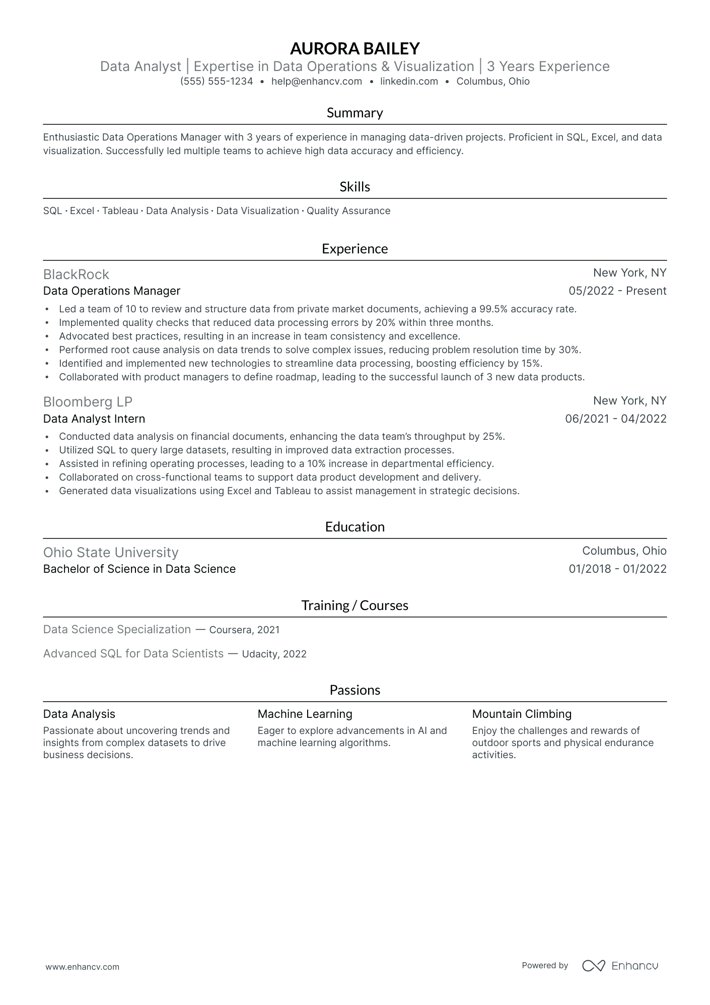 Excel Expert resume example