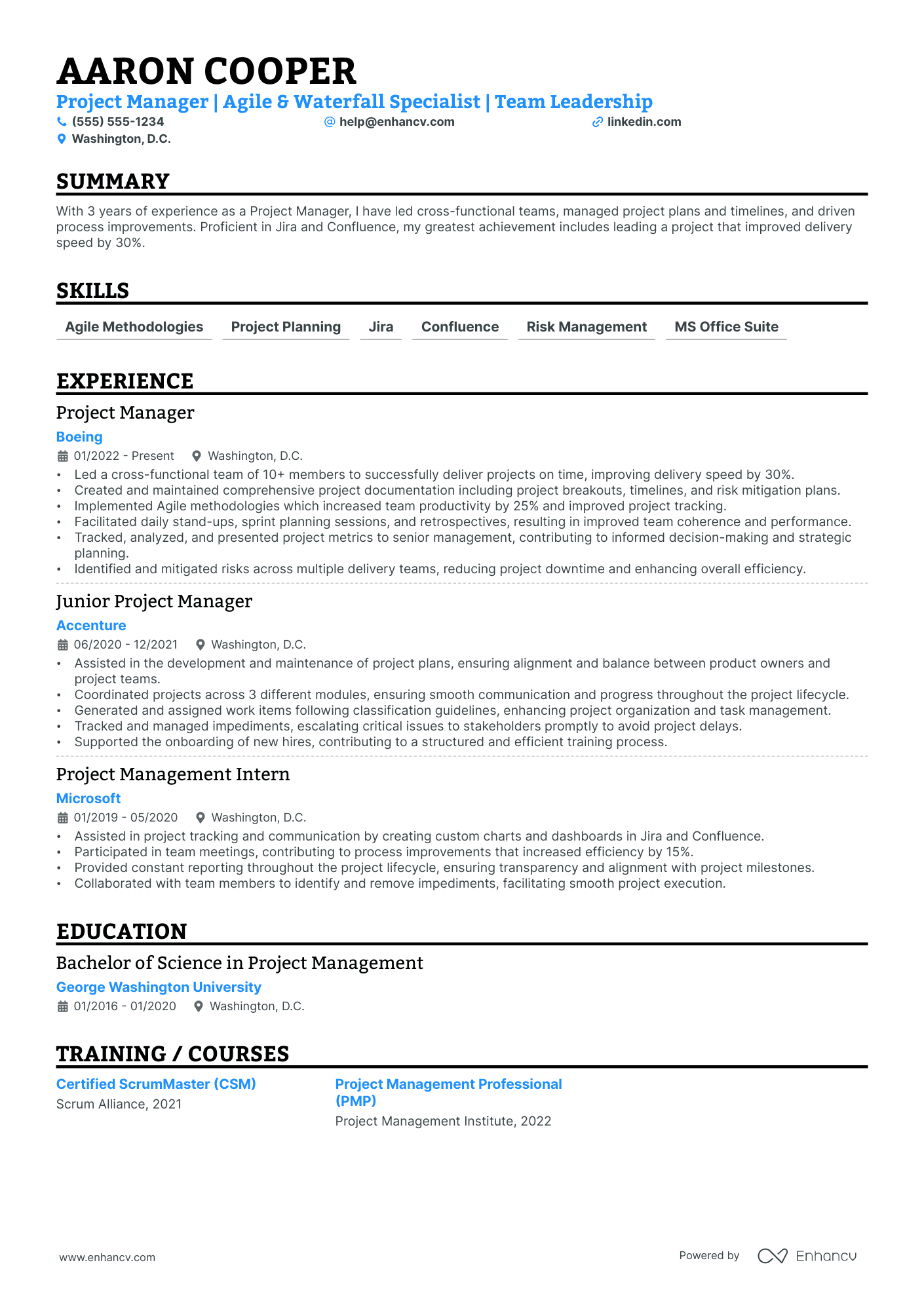 Product Portfolio Manager resume example