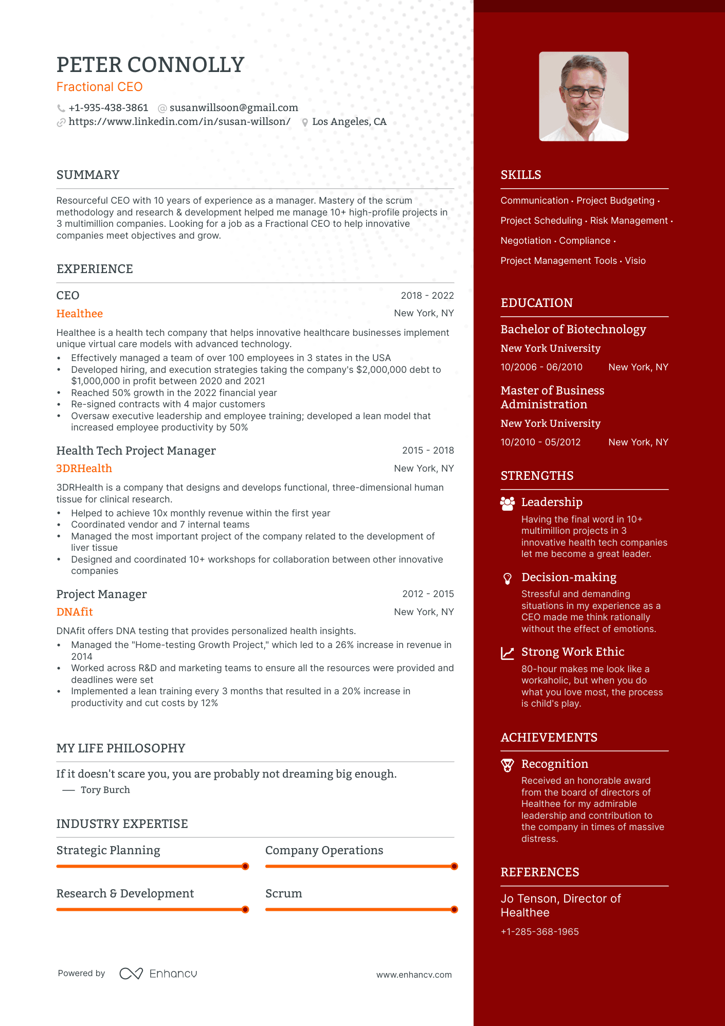 fractional ceo resume example