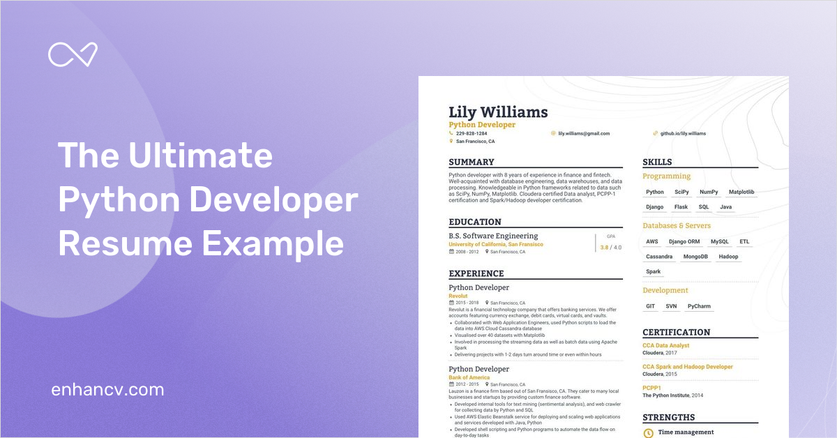 Professional Python Developer Resume Examples & Guide for 2023 (Layout,  Skills, Keywords & Job Description)