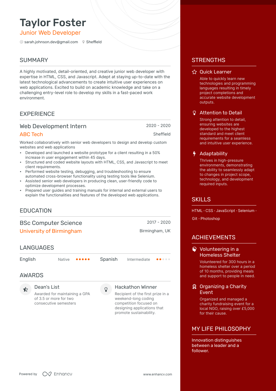 3 Developer CV Examples for 2023
