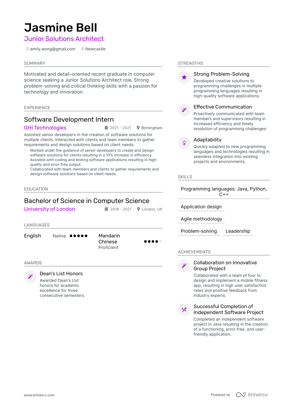 3 Solutions Architect CV Examples for 2023